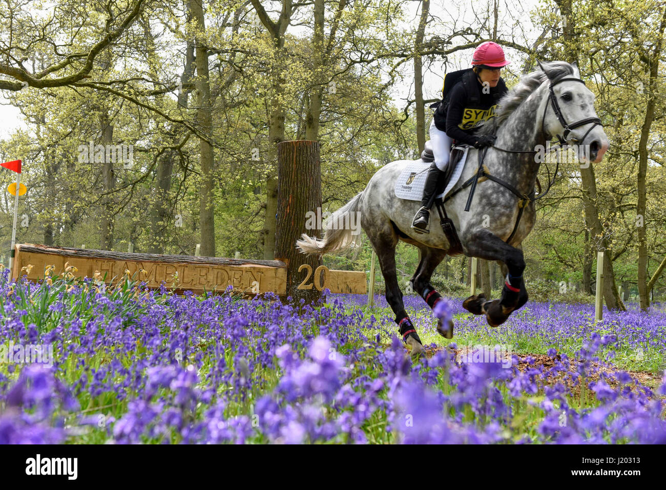 Henley on Thames, Regno Unito. Il 23 aprile 2017. I partecipanti prendono parte all'Hambleden Horse Trials. Festeggia il suo ventesimo anniversario, la concorrenza per la gestione degli eventi comprende le discipline di dressage, show jumping ed un cross country elemento che avviene attraverso la ferrovia Bluebell boschi. Credito: Stephen Chung / Alamy Live News Foto Stock