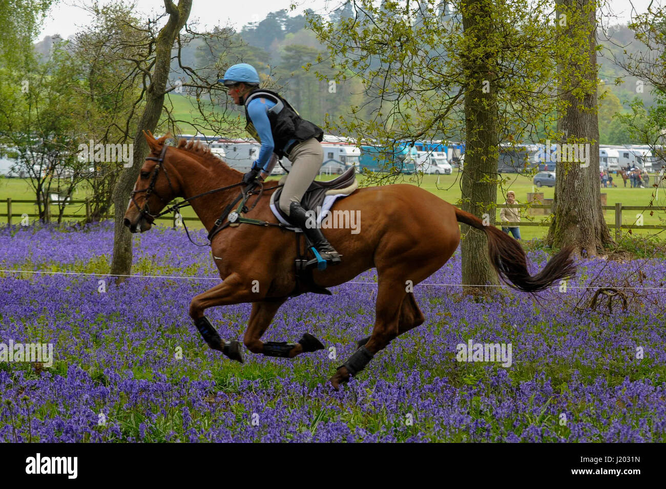 Henley on Thames, Regno Unito. Il 23 aprile 2017. I partecipanti prendono parte all'Hambleden Horse Trials. Festeggia il suo ventesimo anniversario, la concorrenza per la gestione degli eventi comprende le discipline di dressage, show jumping ed un cross country elemento che avviene attraverso la ferrovia Bluebell boschi. Credito: Stephen Chung / Alamy Live News Foto Stock