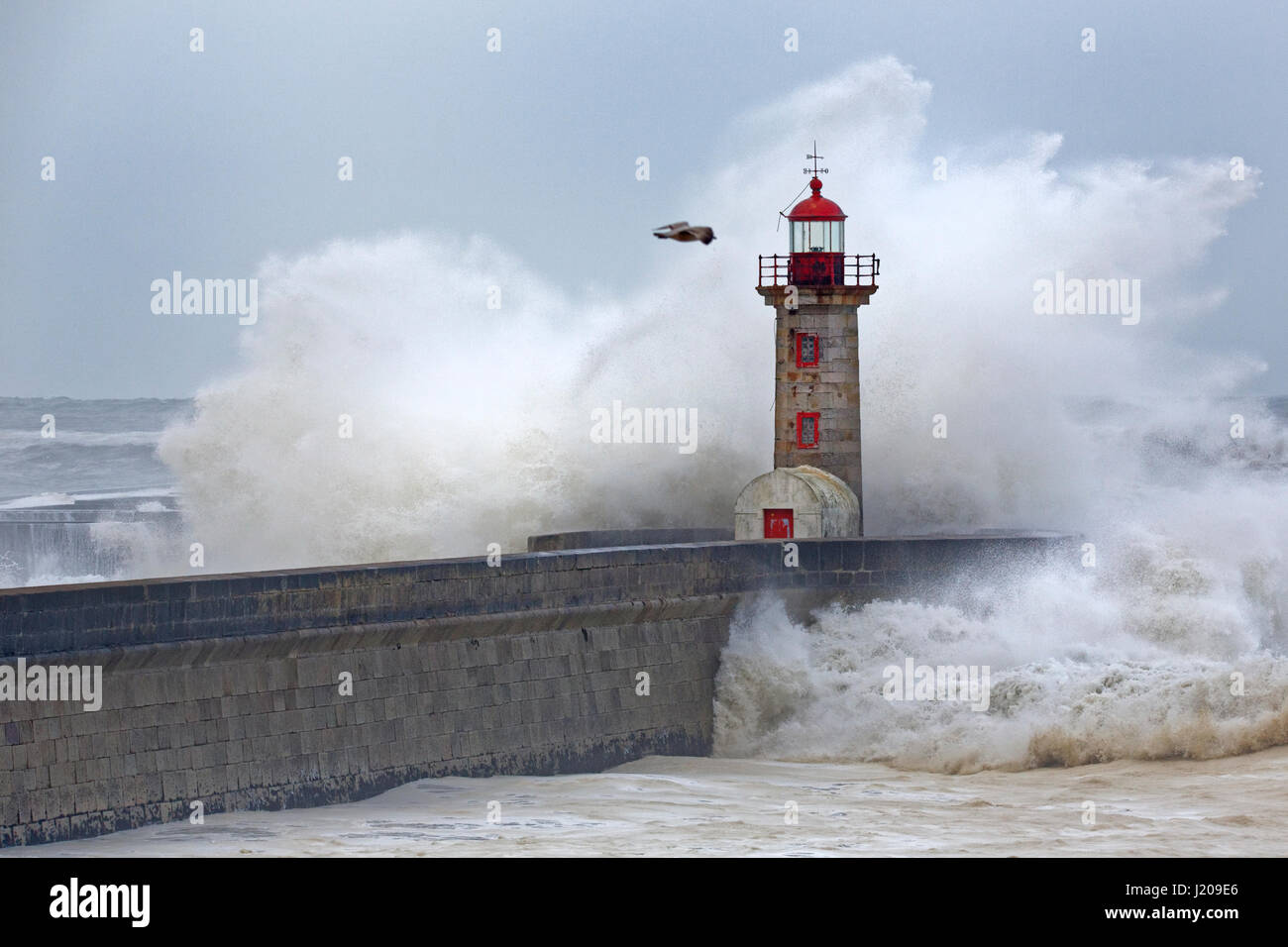 Faro del porto con la tempesta, Portogallo, Europa Foto Stock