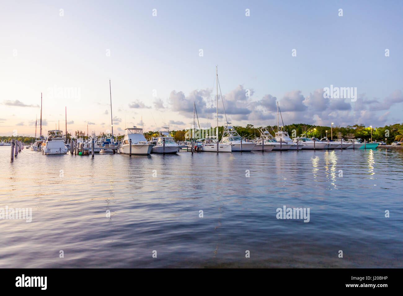 Yacht e Barche da pesca presso la marina in Coral Gables. Miami, Florida, Stati Uniti Foto Stock
