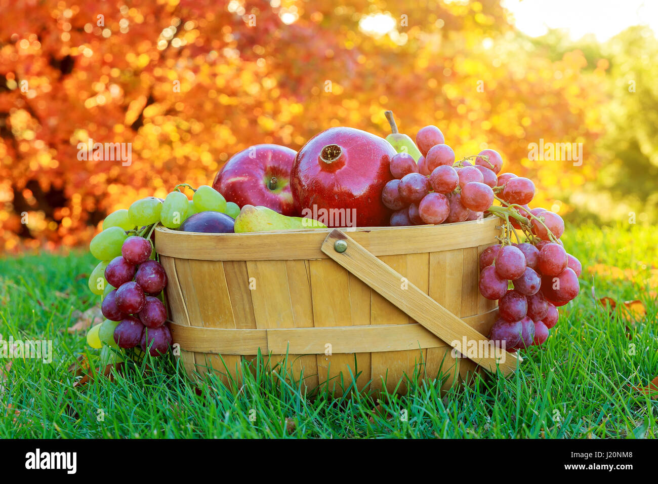 Ciotola di ringraziamento rientrano la frutta e la verdura con melagrane, kaki, mele, uva e mais in rosso e bianco vaso in ceramica, con il dono di Foto Stock