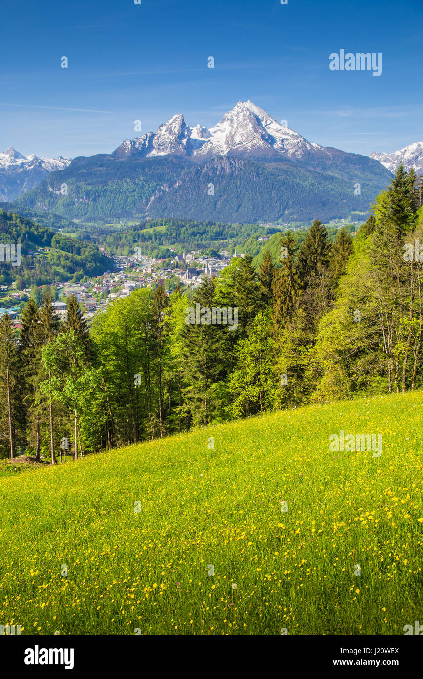Vista panoramica di idilliaco paesaggio di montagna con il famoso Watzmann picco di montagna e prati in fiore in una bella giornata di sole con cielo azzurro in primavera Foto Stock