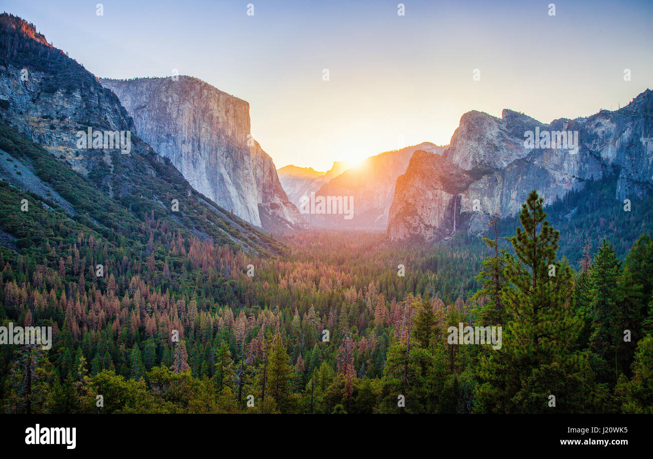 Classic vista di tunnel di scenic Yosemite Valley con il famoso El Capitan e Half Dome rock climbing i vertici di beautiful Golden. La luce del mattino al sorgere del sole Foto Stock