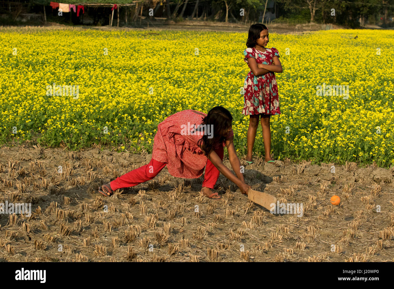 Una ragazza rurale svolge il cricket in campo agricolo in Jessore, Bangladesh. Foto Stock