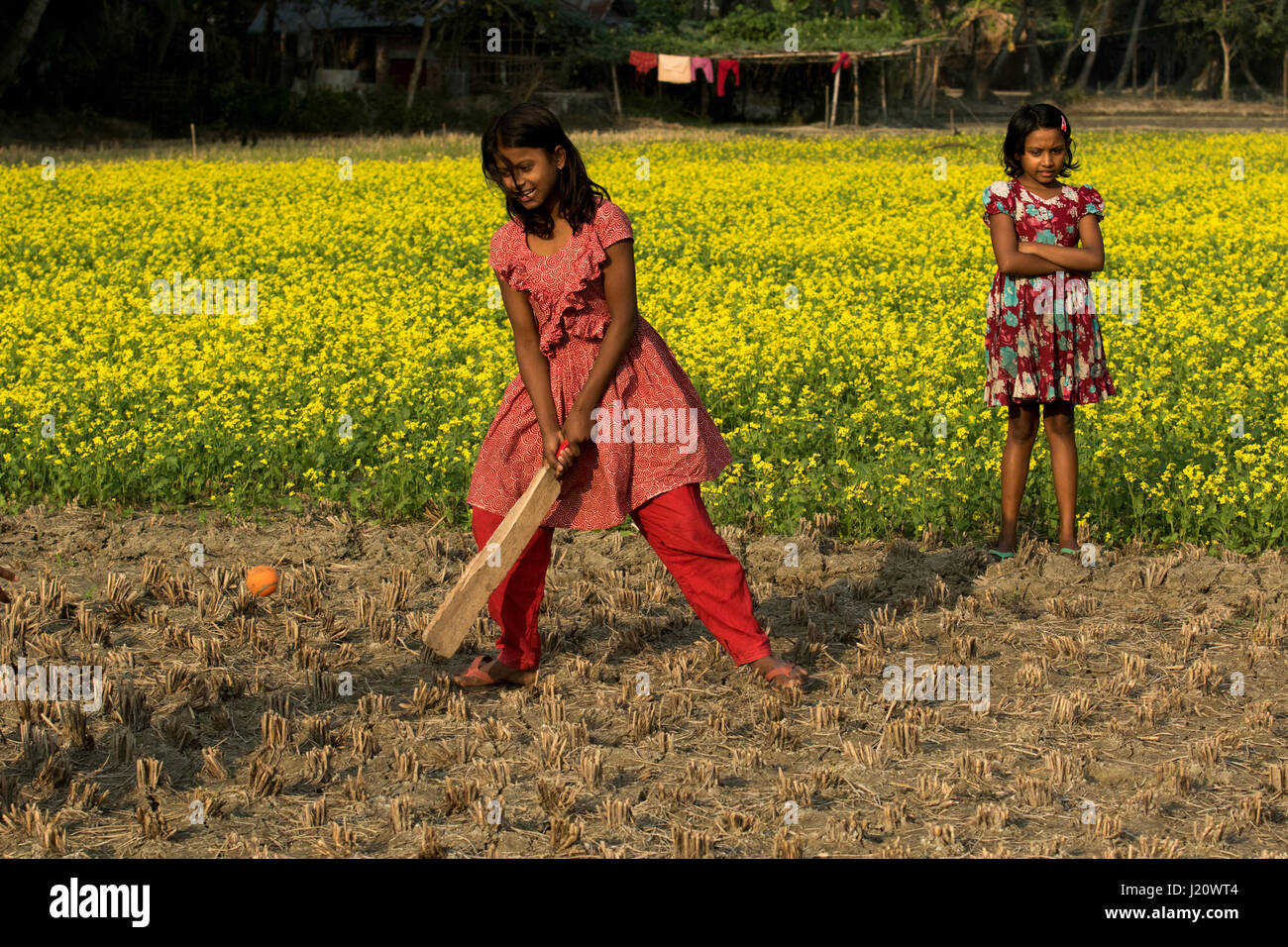 Una ragazza rurale svolge il cricket in campo agricolo in Jessore, Bangladesh. Foto Stock