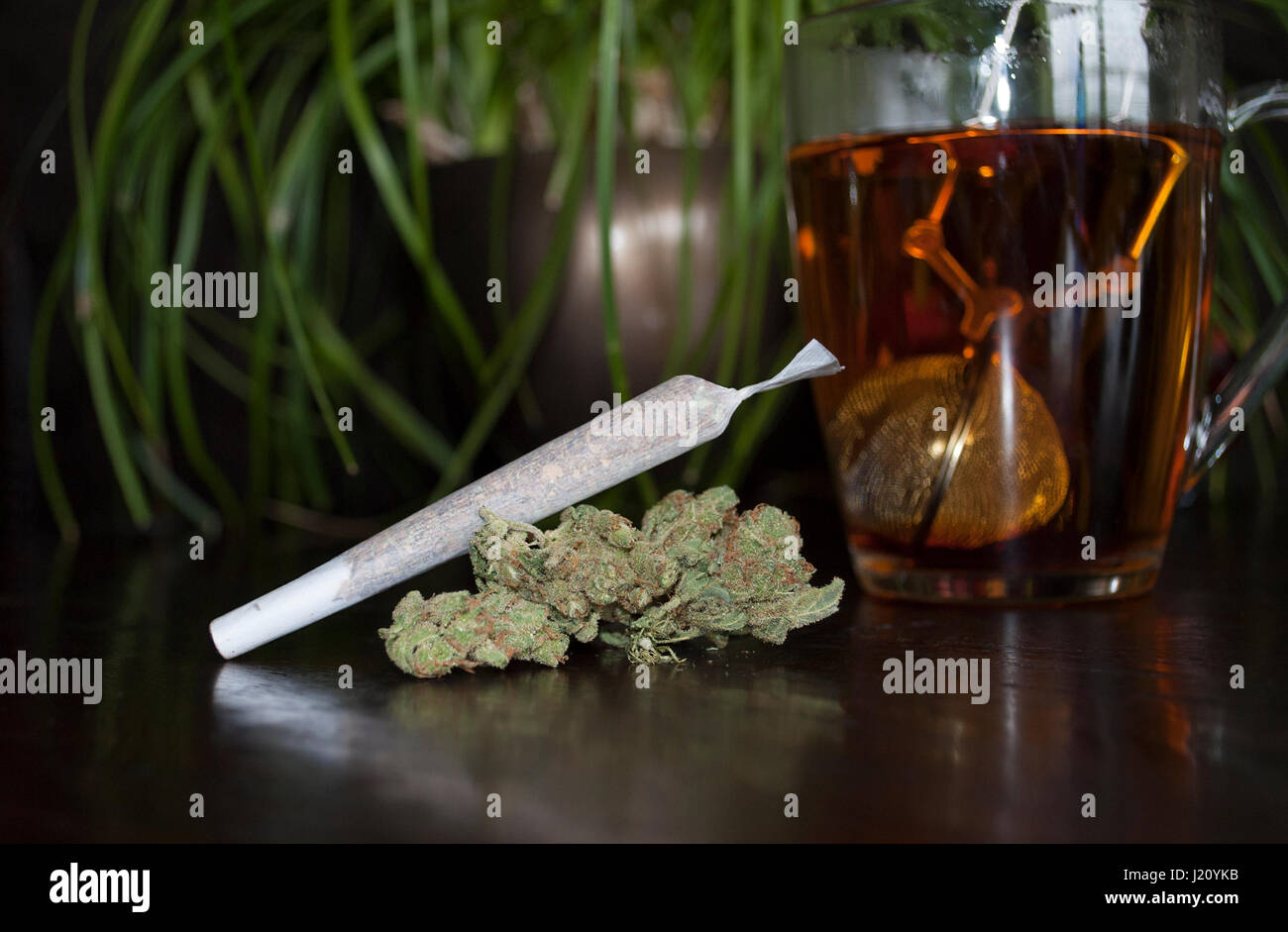 Primo piano della marijuana laminati giunto di erbaccia e gemme su sfondo di legno, con tazza di tè rooibos Foto Stock