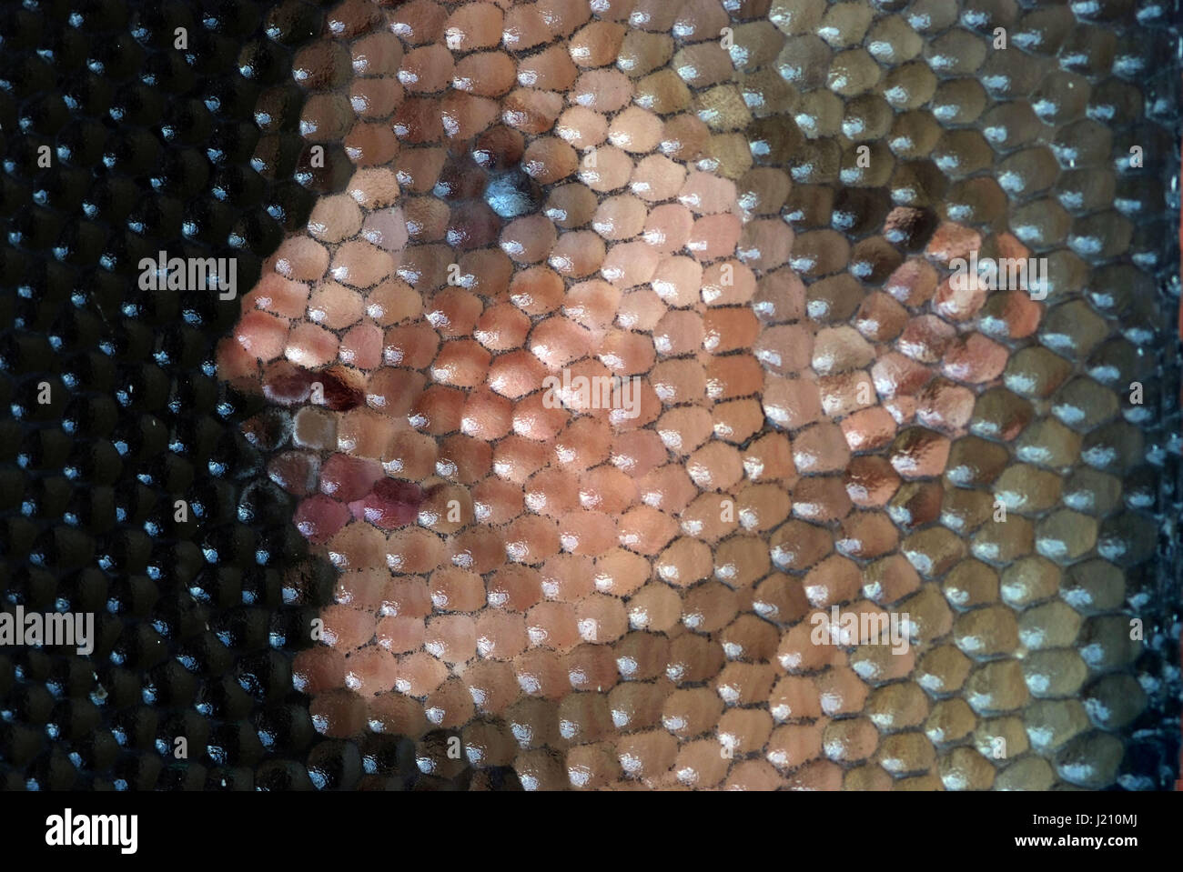 Bionda non identificabili volto femminile dietro il vetro satinato panelfemales Foto Stock