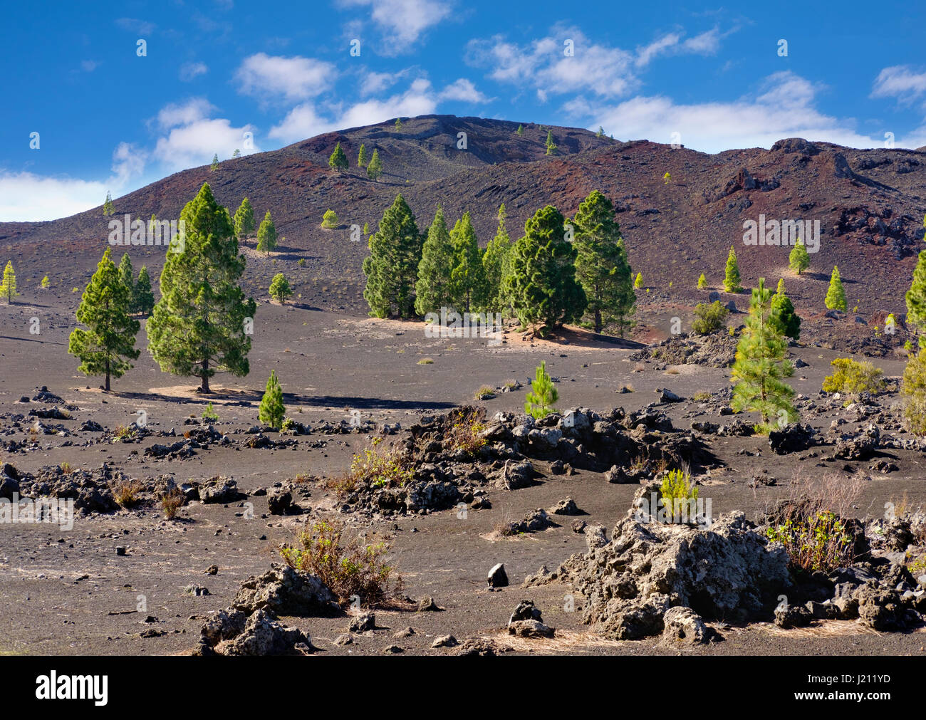 Montana Negra oder Volcan Garachico, bei El Tanque, Teneriffa, Kanarische isole, Spanien Foto Stock