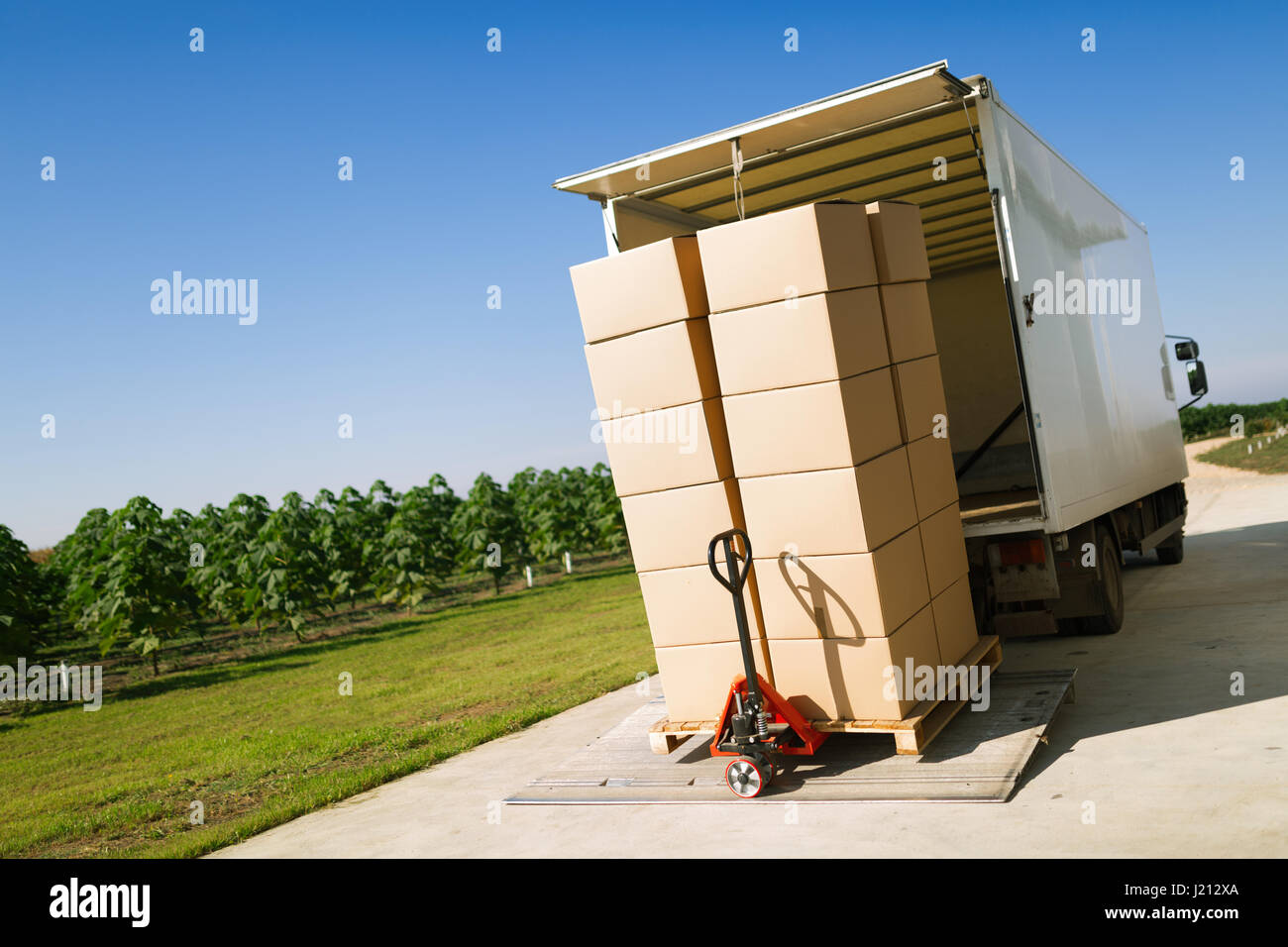 Carrello di trasporto di merci imballate in scatole dal magazzino Foto Stock