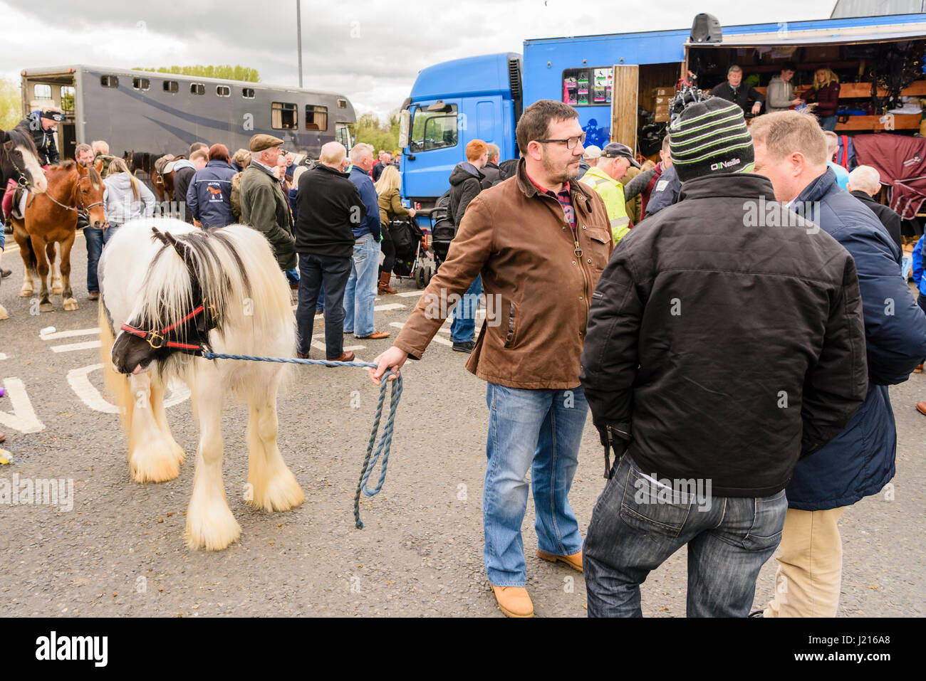 Un uomo parla agli altri mentre si tiene un cavallo che ha appena comprato al Toome Fiera Cavalli, Irlanda del Nord Foto Stock