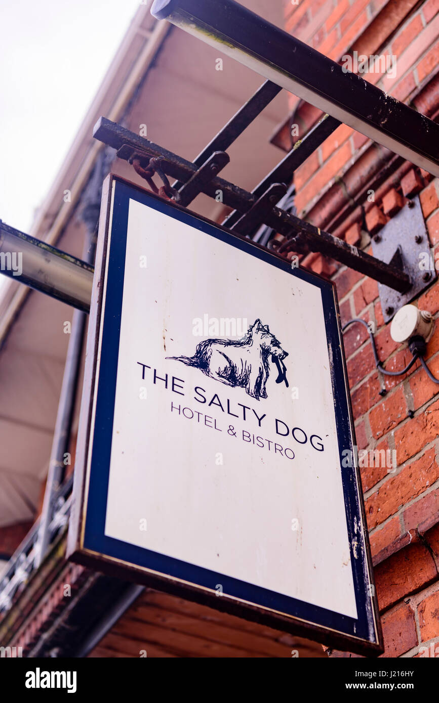 Segno a Salty Dog Hotel e il Bistro, Bangor, County Down, Irlanda del Nord Foto Stock