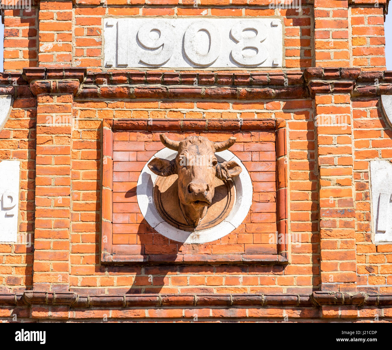 La parte superiore di un vecchio edificio costruito nel 1908 con una elaborata vacca di testa sporgente dalla facciata in Londra Inghilterra, Regno Unito Foto Stock