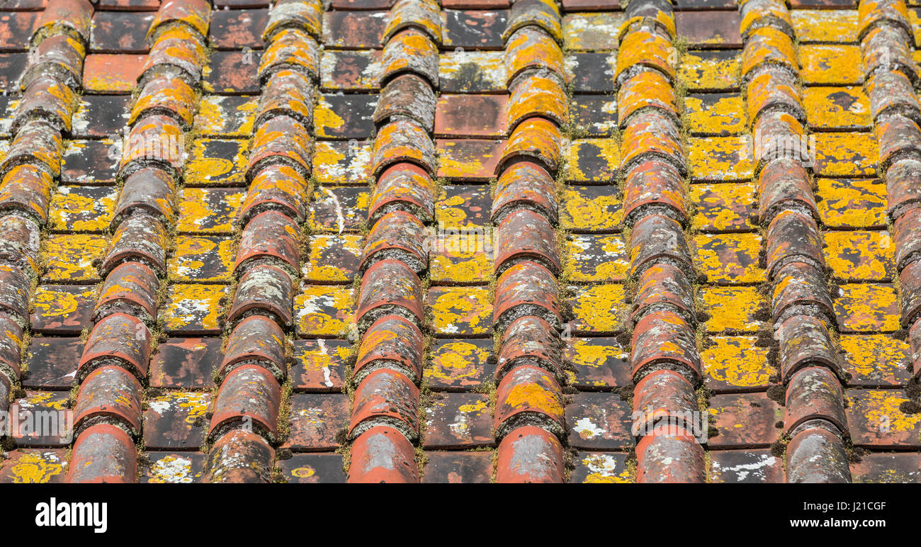 Dettaglio immagine di un antica terracotta tetto di tegole a Bath, Inghilterra, Regno Unito Foto Stock