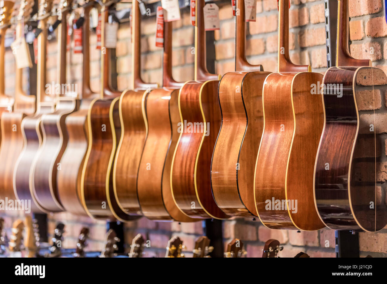 Fila di appendere le chitarre in un negozio di musica nel Regno Unito Foto Stock
