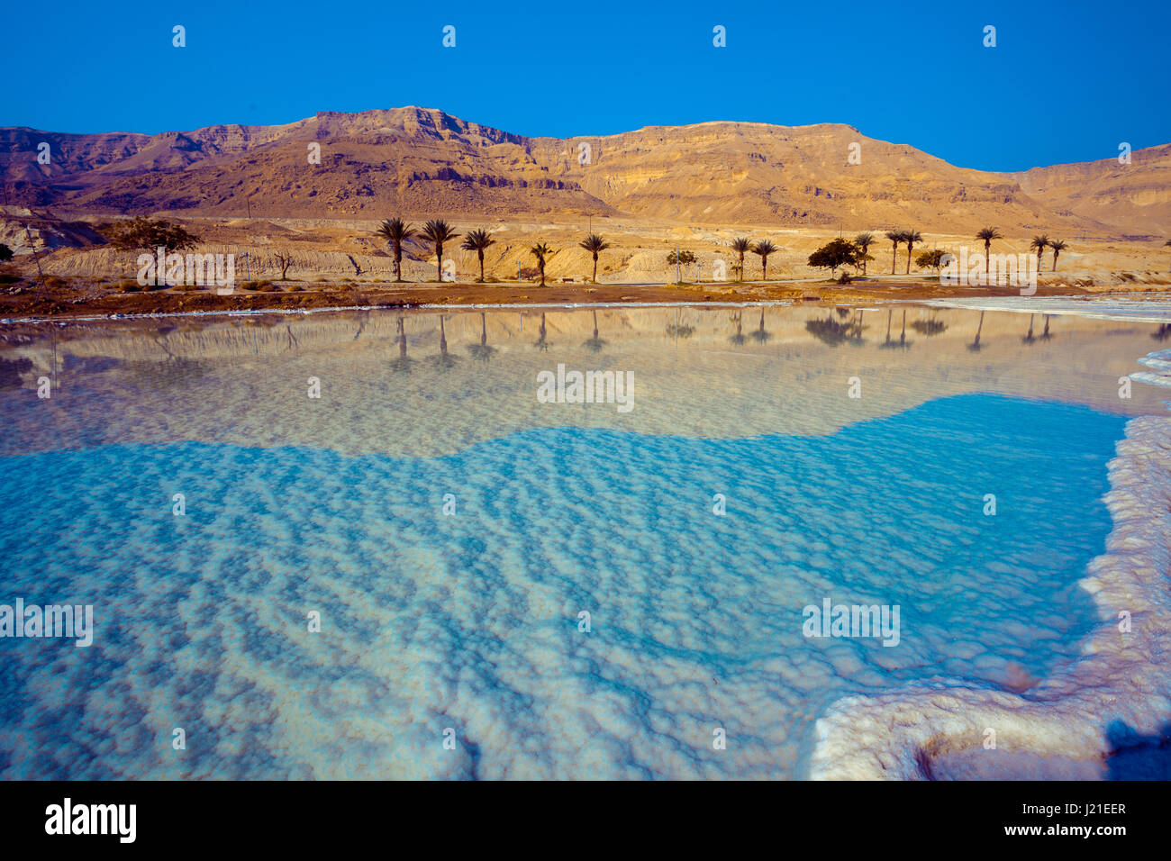 Mar Morto salato shore. Natura selvaggia Foto Stock