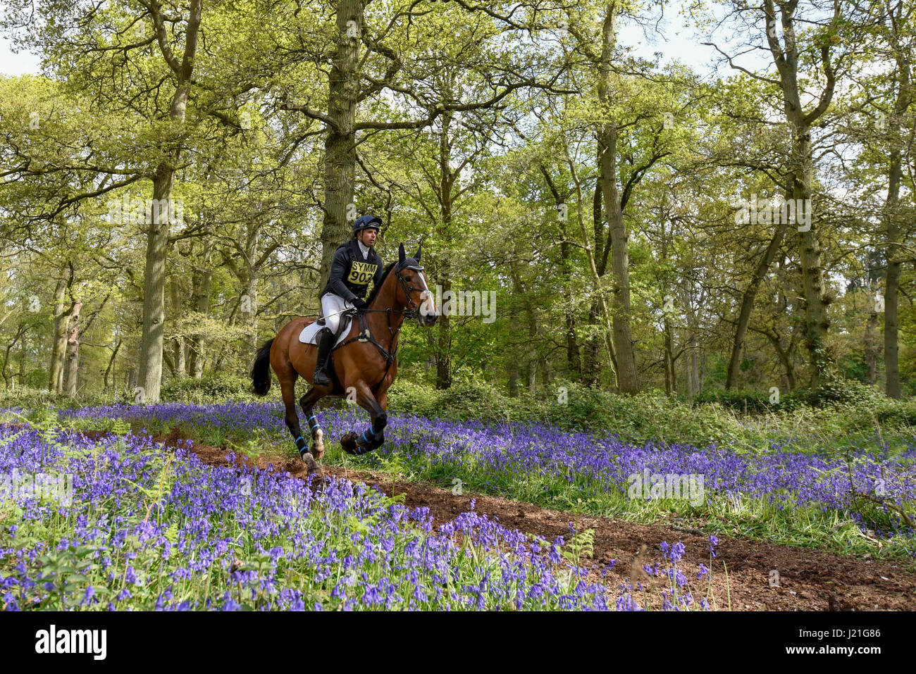 Henley on Thames, Regno Unito. Il 23 aprile 2017. I partecipanti prendono parte all'Hambleden Horse Trials. Festeggia il suo ventesimo anniversario, la concorrenza per la gestione degli eventi comprende le discipline di dressage, show jumping ed un cross country elemento che avviene attraverso la ferrovia Bluebell boschi. Credito: Stephen Chung / Alamy Live News Foto Stock