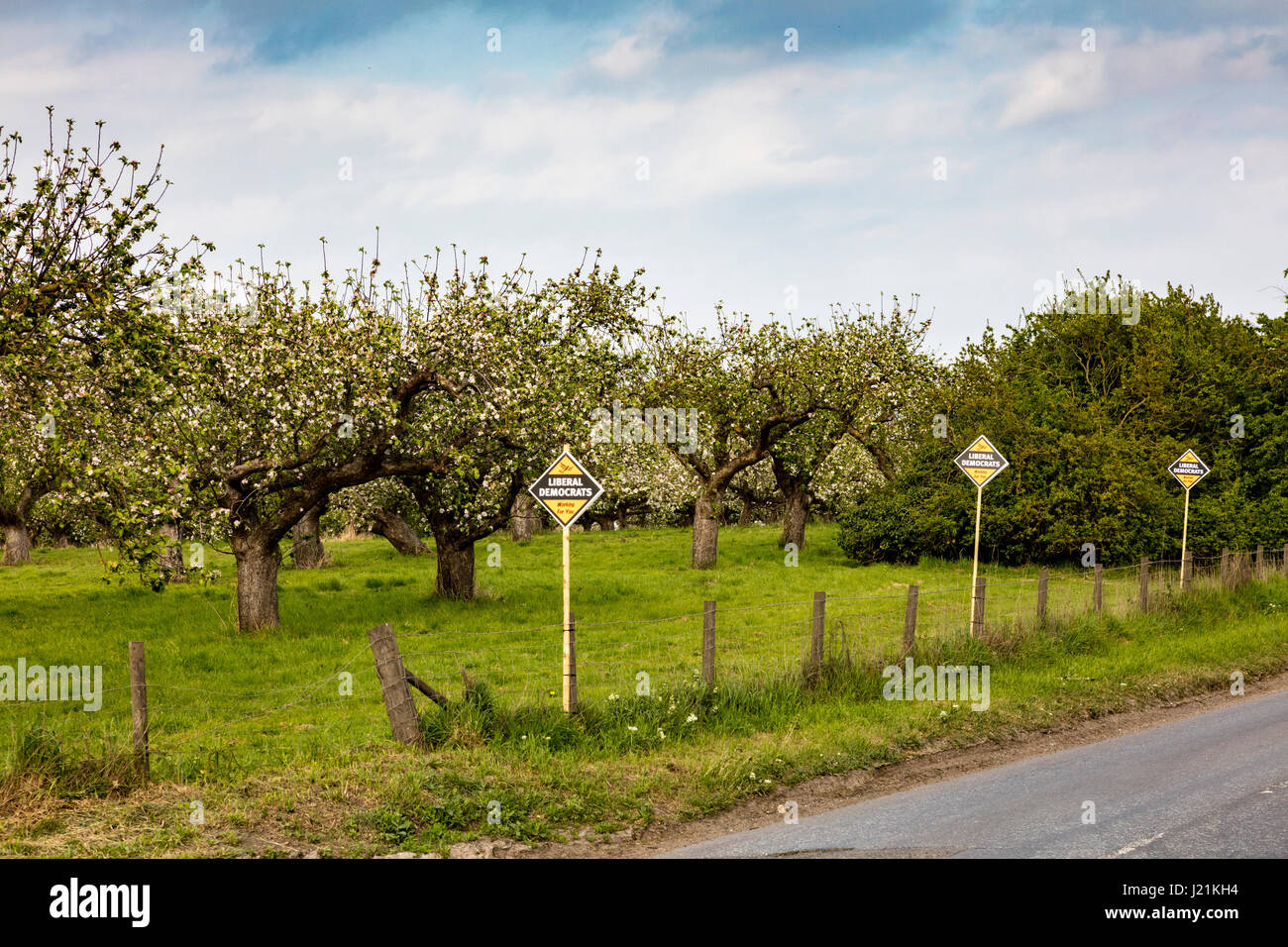 Faversham Kent, Regno Unito, 23 aprile 2017. Parlamentare del Regno Unito e alle elezioni del Consiglio. Gruppo del Partito europeo dei liberali democratici manifesti pubblicitari in frutticoltura frutteti vicino a Faversham e metà Kent circoscrizione parlamentare, normalmente un sicuro partito conservatore sedile solo cinque giorni dopo il primo ministro, Theresa Maggio, anounces uno snap Gerneral elezioni del giugno 8th. Credito: Richard Donovan/Live Alamy News Foto Stock