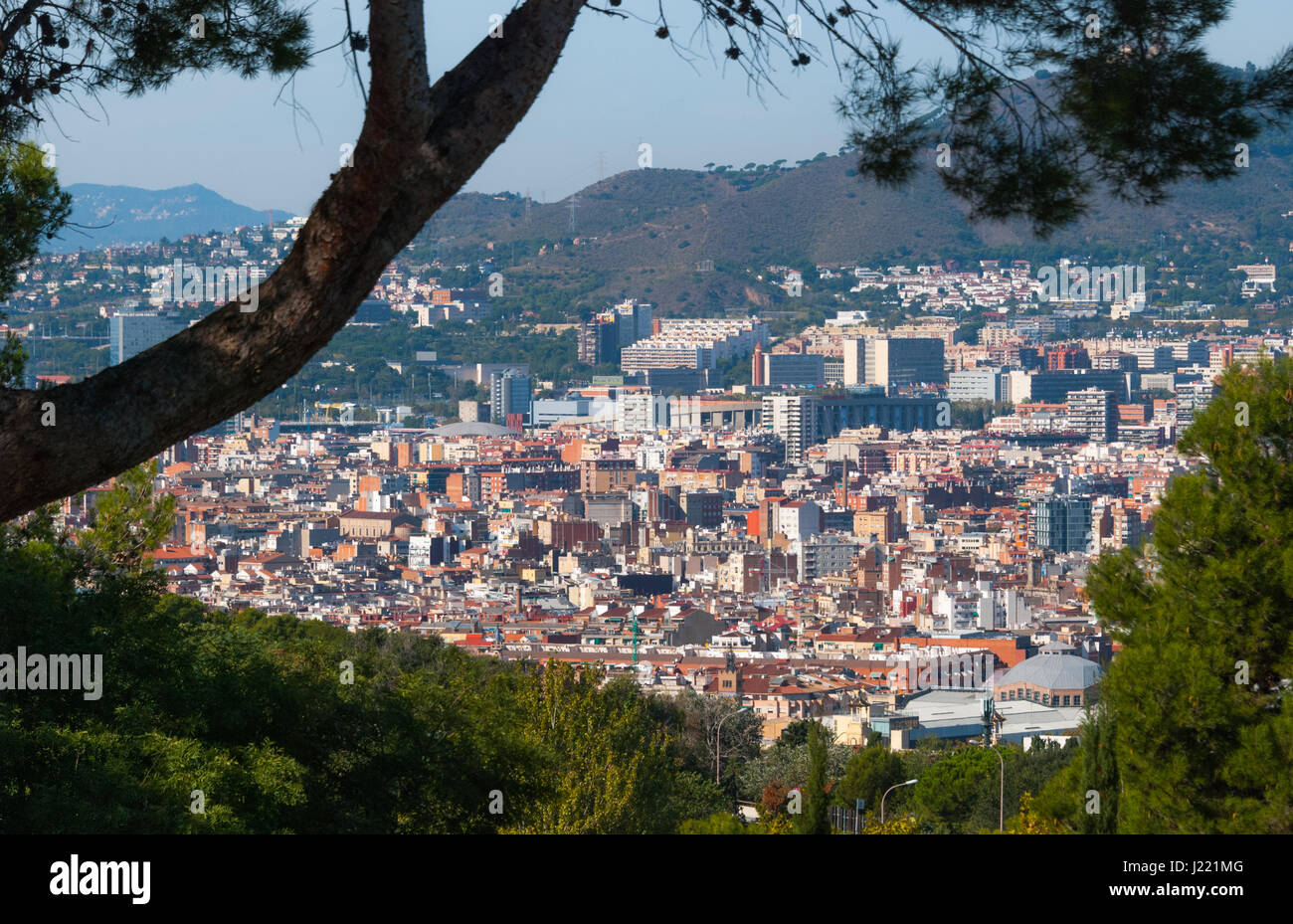 Paesaggio urbano di Barcellona vista attraverso gli alberi del parco nelle vicinanze. Urbane della città di densità tentacolare di immobili, appartamenti, condomini, le chiese e i quartieri. Foto Stock