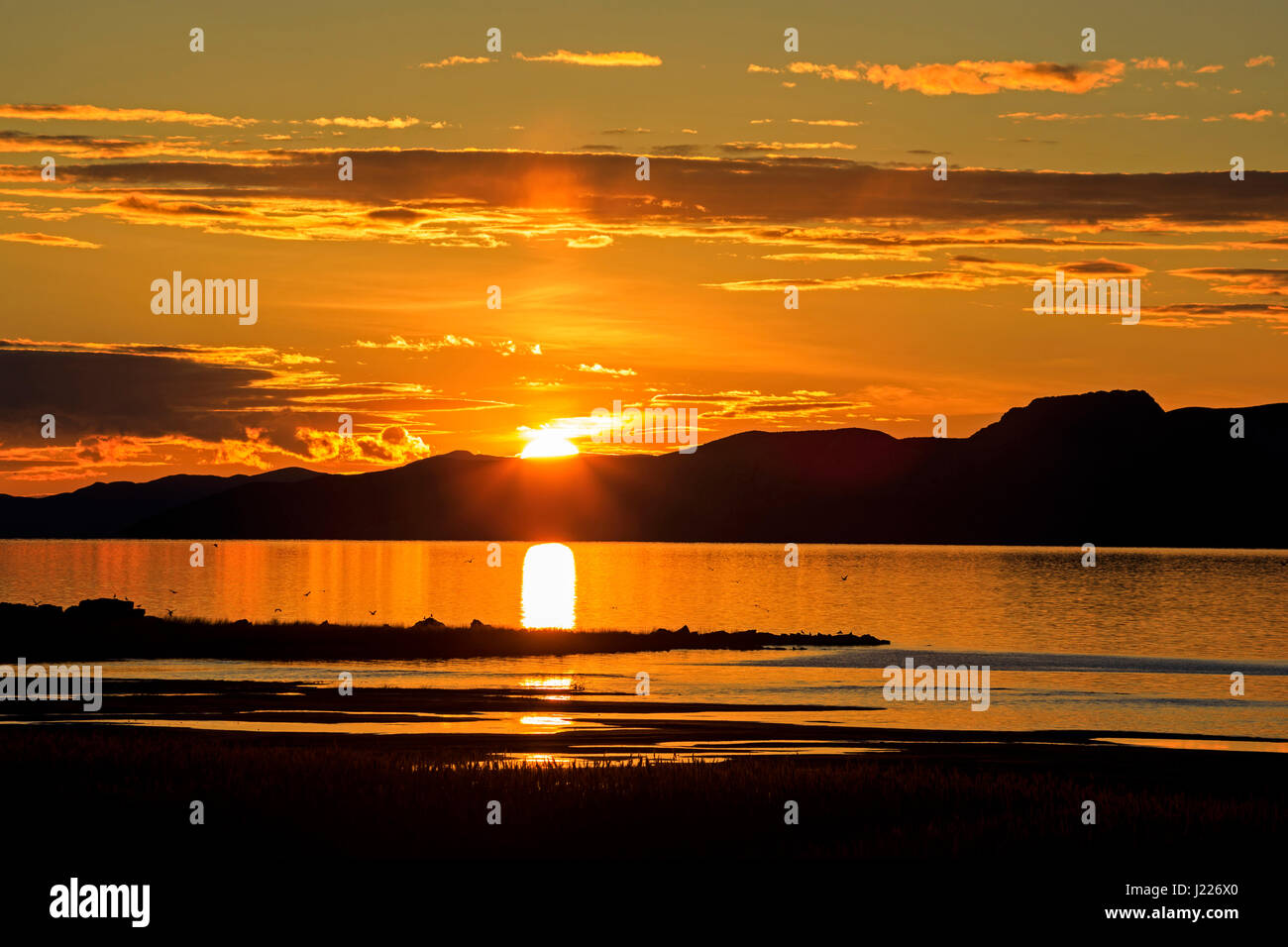 In questo colpo i gabbiani volare intorno a un punto sul nero la spiaggia di roccia sul grande lago salato come uno sfolgorante tramonto avviene su isola di Stansbury nella distanza. Foto Stock