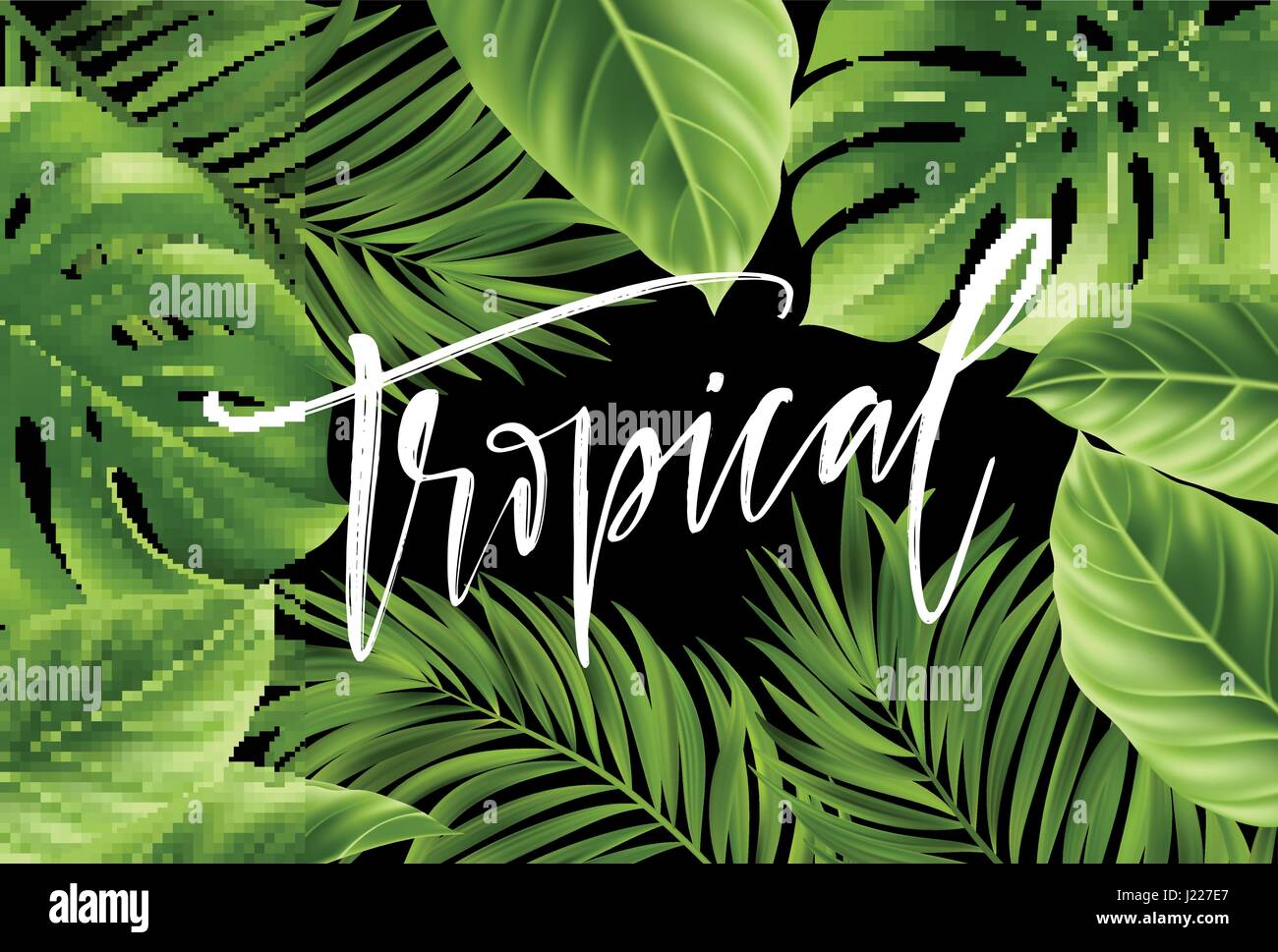 Estate poster con palme tropicali e una foglia di caratteri della scrittura. Illustrazione Vettoriale Illustrazione Vettoriale
