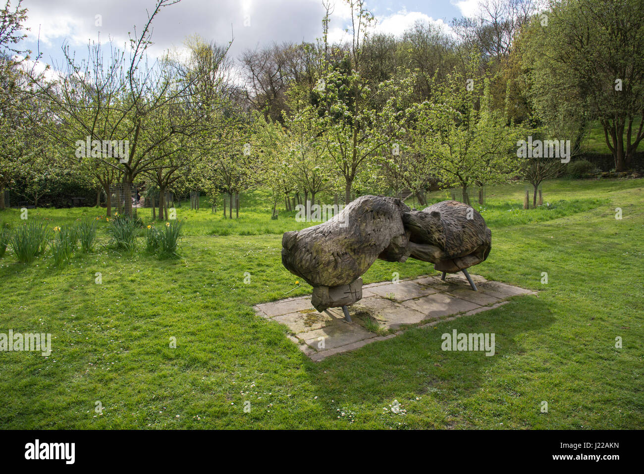 In legno intagliato sculture di Badgers a Cheetham park, Stalybridge, Greater Manchester, Inghilterra Foto Stock
