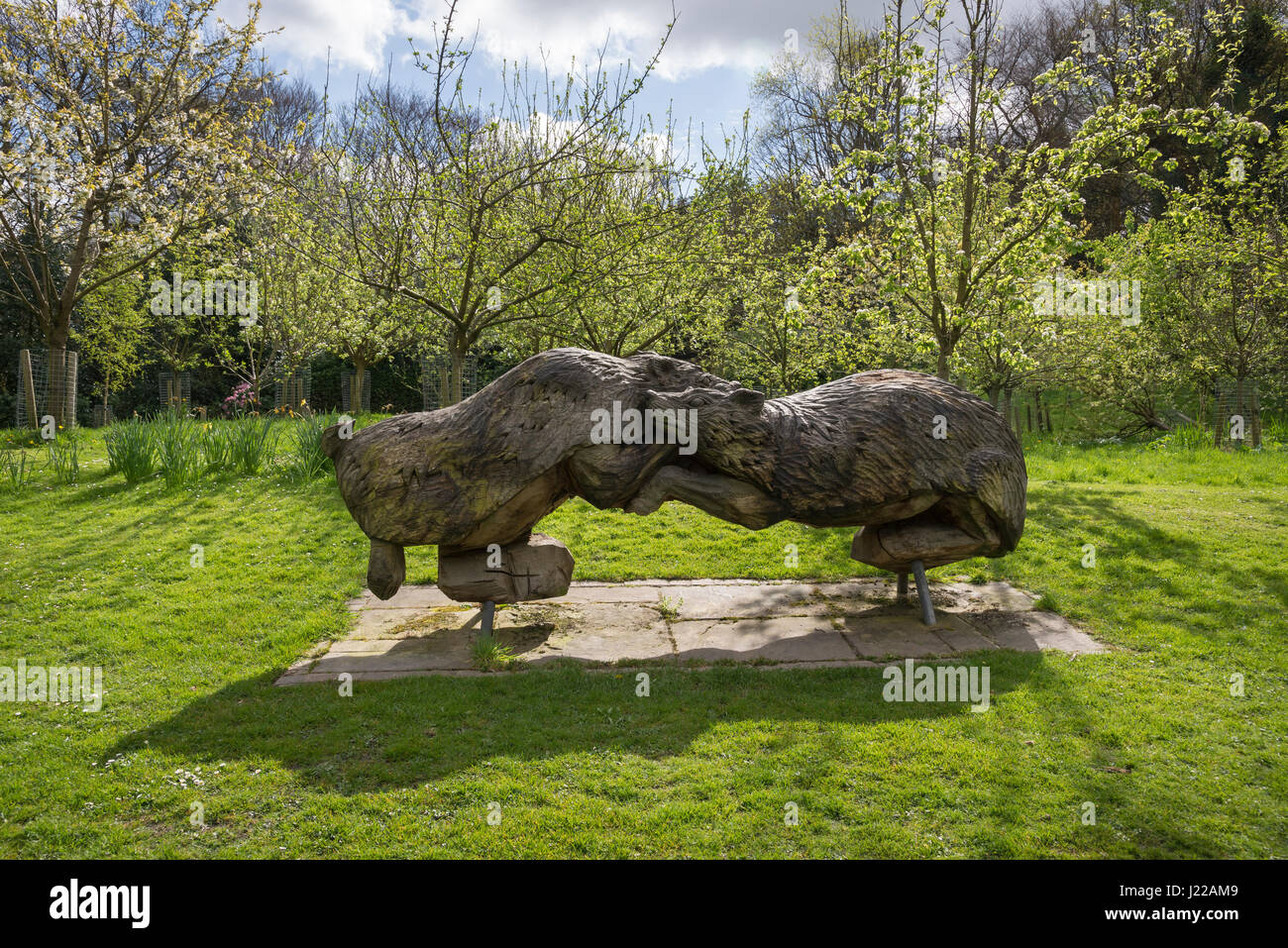 In legno intagliato sculture di Badgers a Cheetham park, Stalybridge, Greater Manchester, Inghilterra Foto Stock