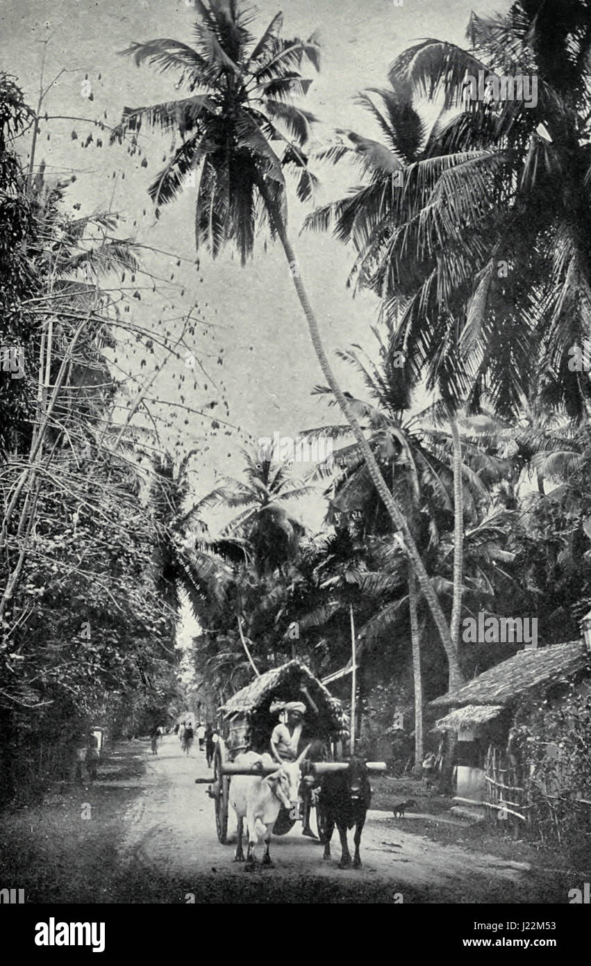 Il Galle Road - Ceylon, circa 1900 Foto Stock