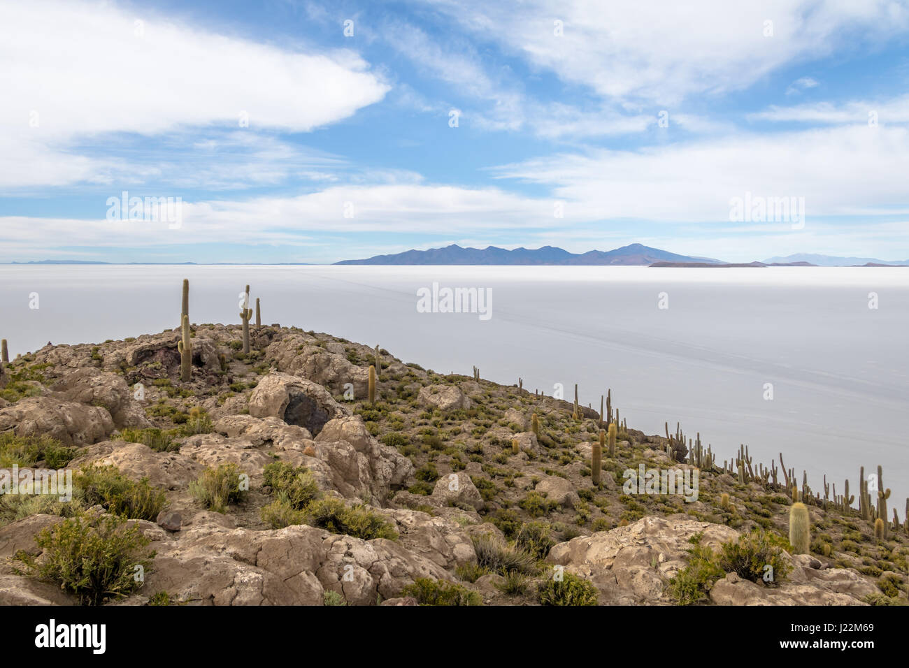 Incahuasi Cactus isola nel Salar de Uyuni distesa di sale - dipartimento di Potosi, Bolivia Foto Stock