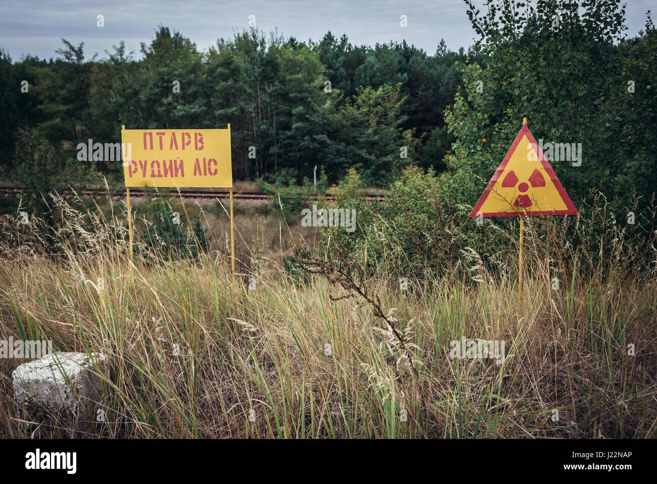 Un segnale di avviso nella cosiddetta Foresta Rossa area circostante centrale nucleare di Cernobyl, zona di alienazione, Ucraina Foto Stock
