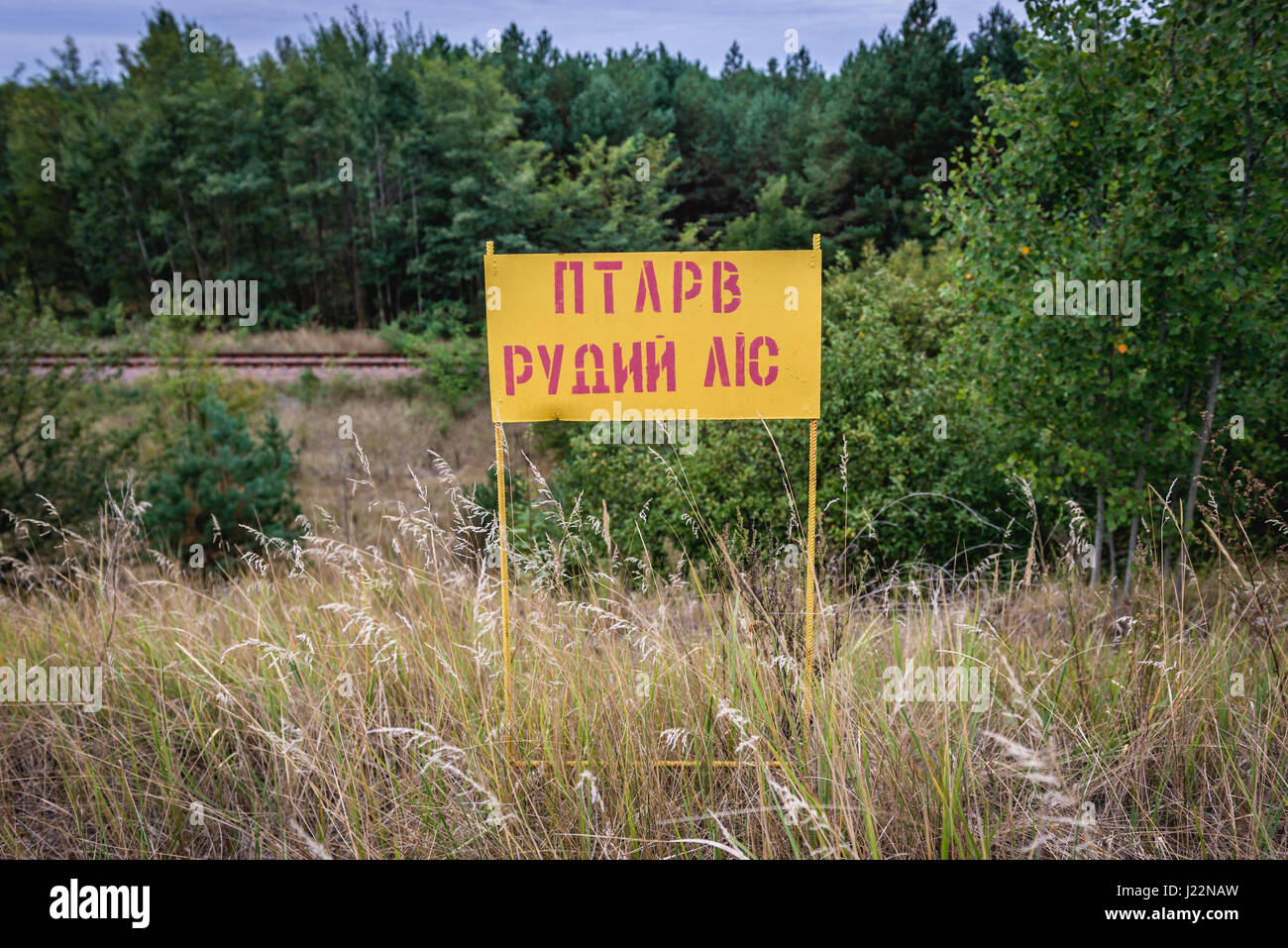 Segno nella cosiddetta Foresta Rossa area circostante centrale nucleare di Cernobyl, zona di alienazione, Ucraina Foto Stock