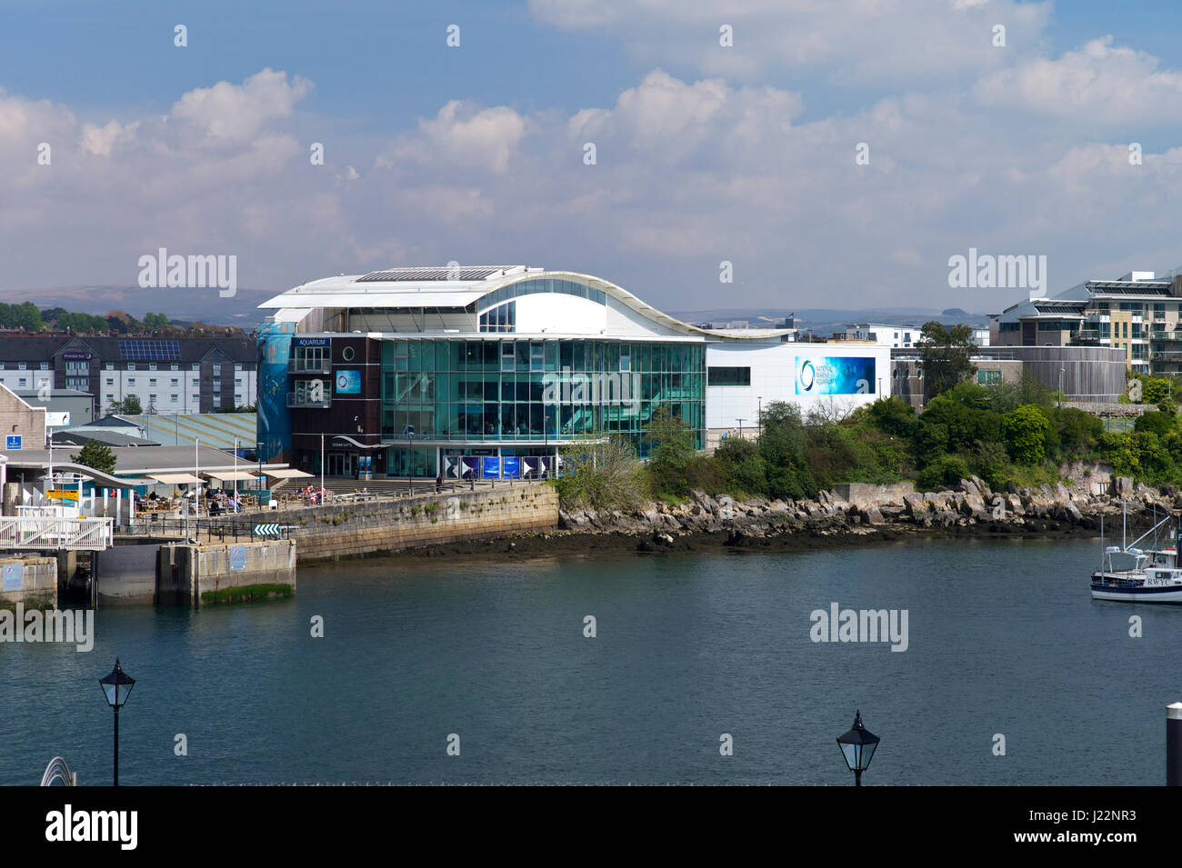 Il National Marine Aquarium, Plymouth UK Foto Stock