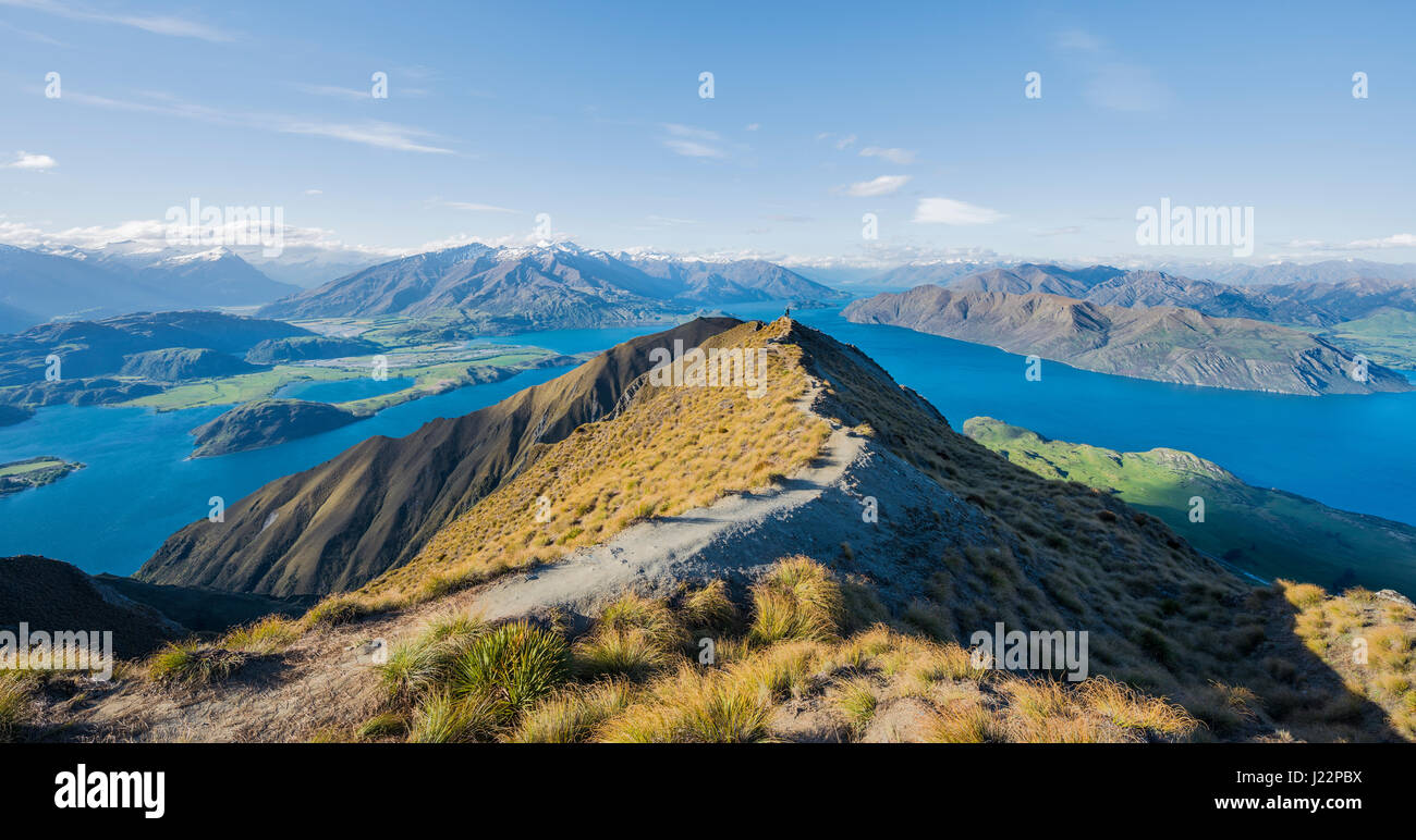 Vista sulle montagne e sul lago, Roys picco, il lago Wanaka, Alpi del Sud, regione di Otago e Southland, Nuova Zelanda Foto Stock