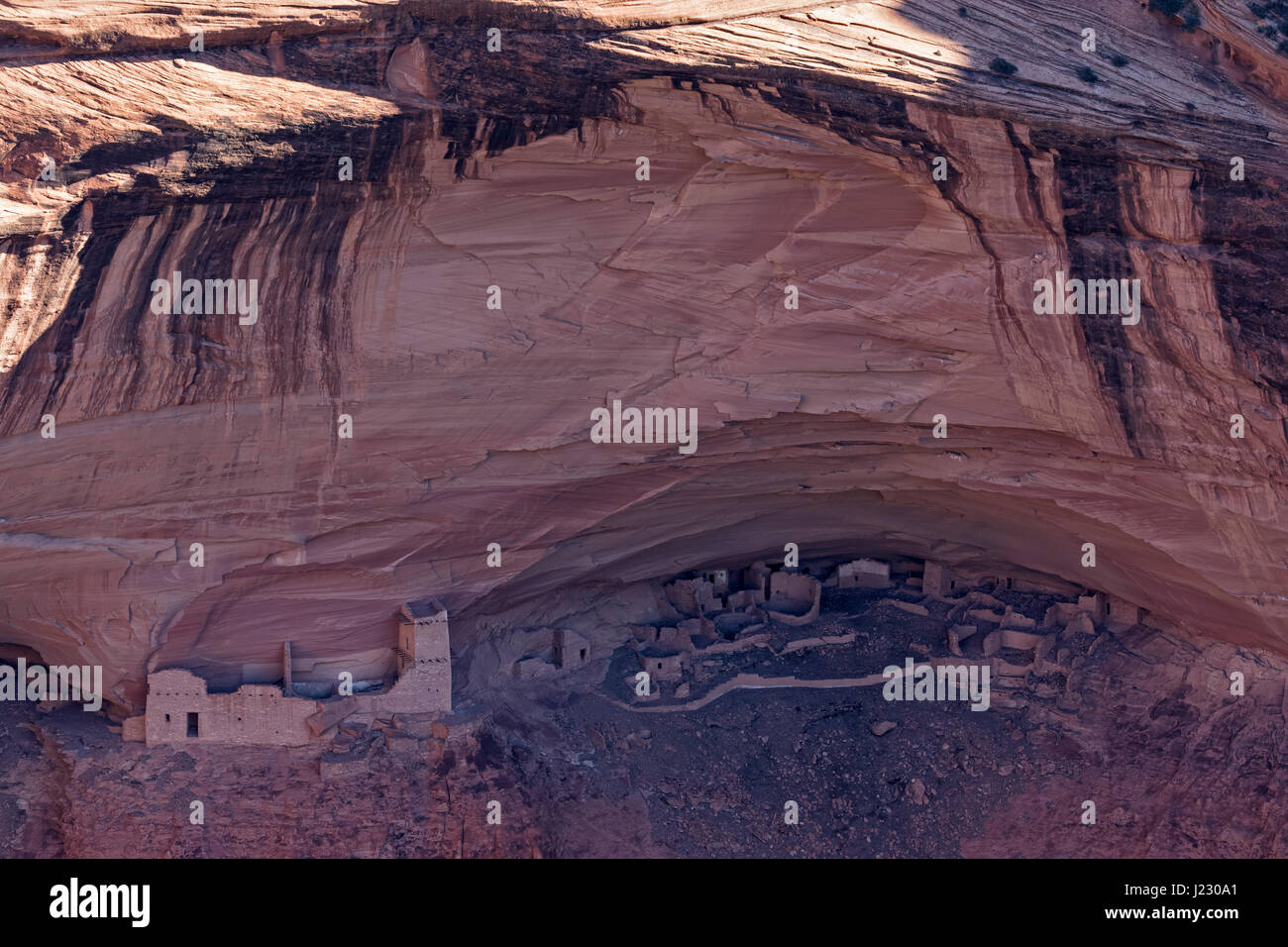 Stati Uniti d'America, Arizona, Canyon De Chelly National Monument, Canyon del Muerto, mummia Grotta, rovine di Indiani Pueblo Foto Stock