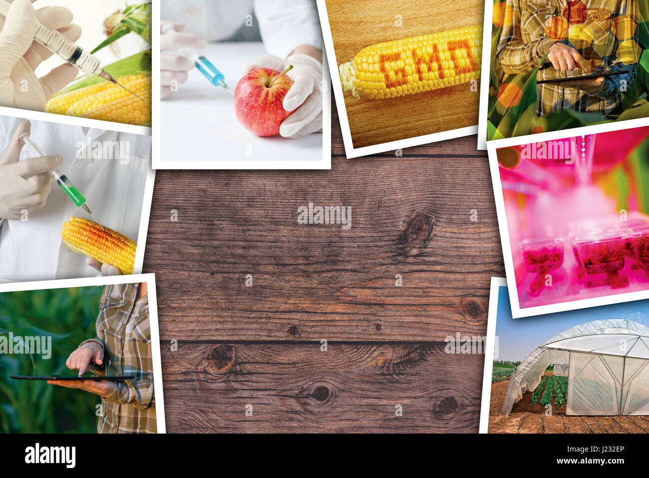La modificazione genetica, la scienza e la tecnologia in agricoltura, photo collage su sfondo di legno come spazio di copia Foto Stock