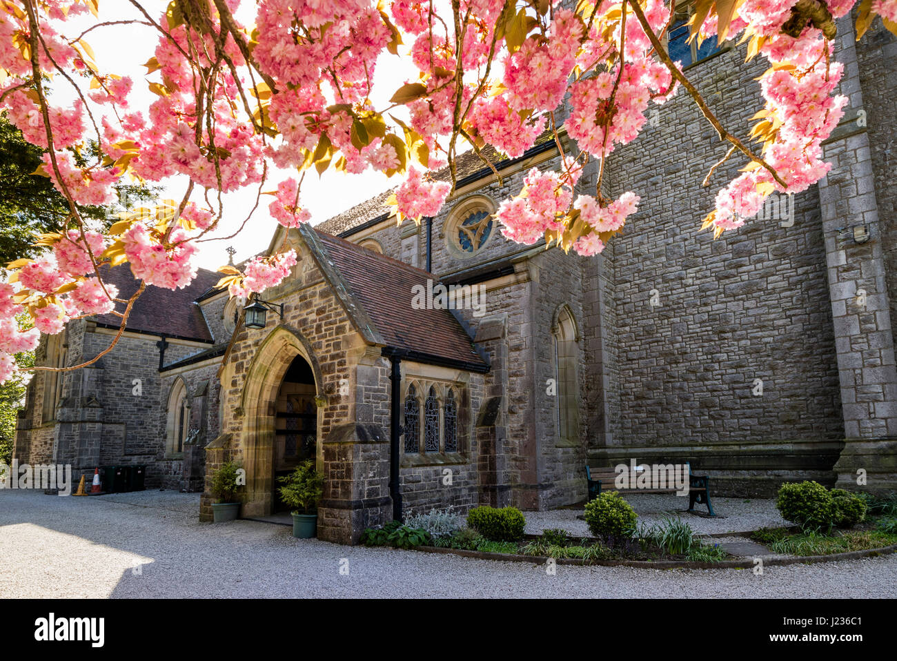 St John's C.E. Chiesa in primavera, Silverdale, Lancashire, Inghilterra, Regno Unito Foto Stock