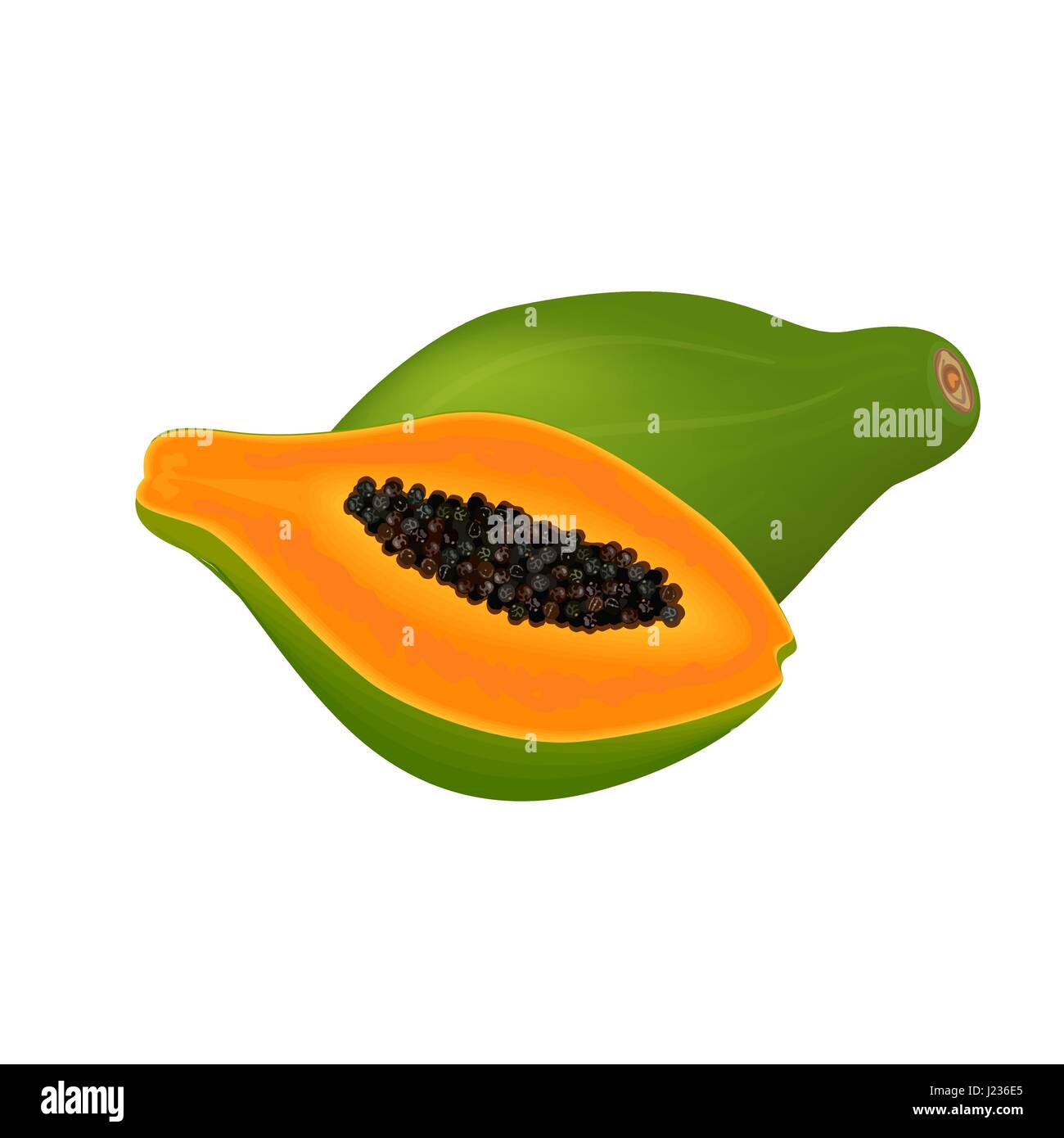 La papaia fresca, fette e frutta intera su sfondo bianco Illustrazione Vettoriale