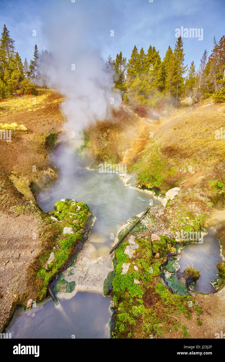 Primavera calda nel Parco Nazionale di Yellowstone, Wyoming negli Stati Uniti. Foto Stock