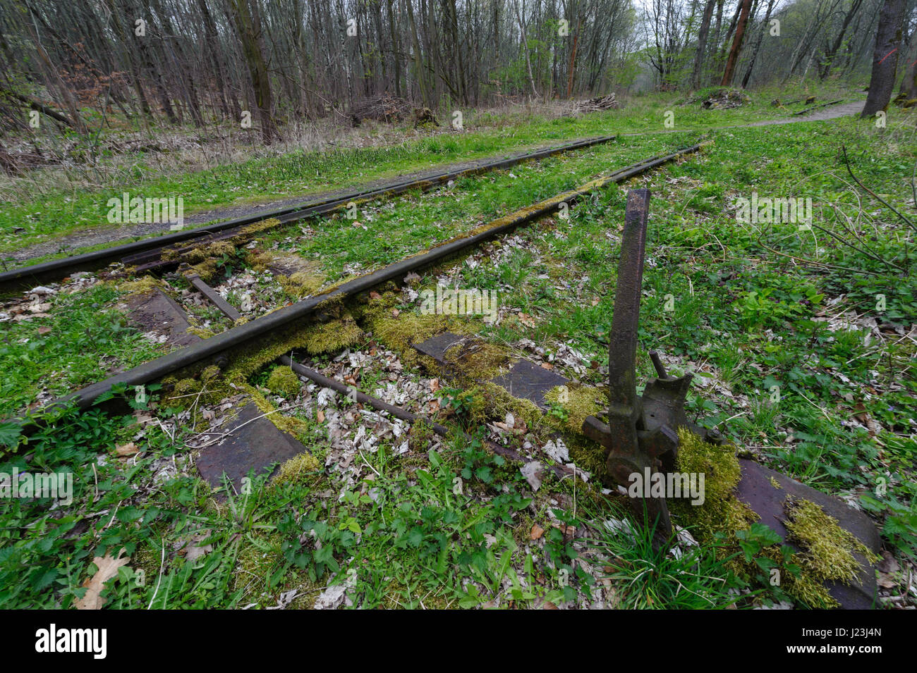 Commemorative Buchenwald percorso ferroviario . Le pietre con i nomi del 2000 bambini e adolescenti deportato a Buchenwald. Germania Foto Stock