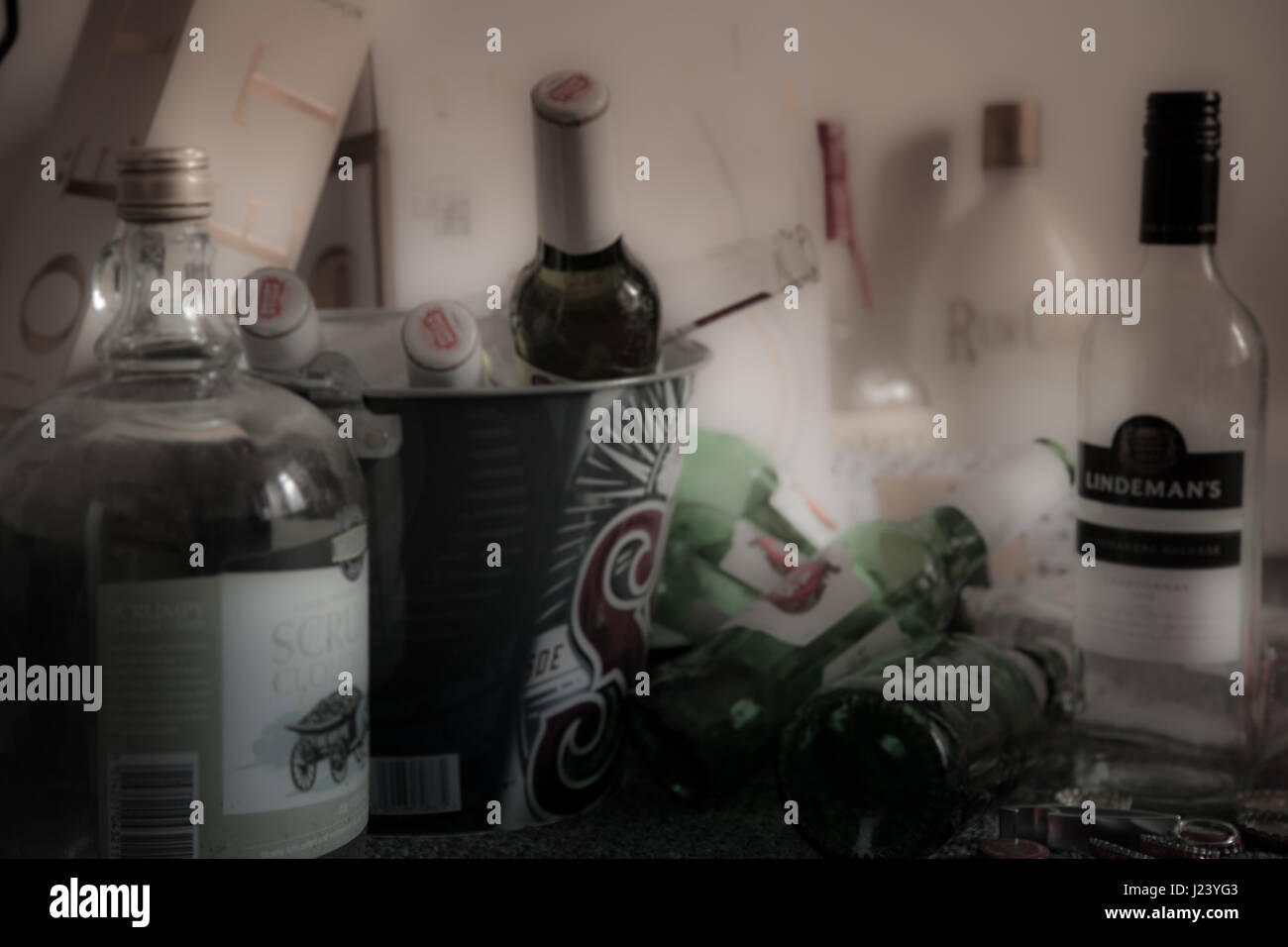 Mini Bottiglie Di Liquore In Vetro Da 50 Ml Con Tappi Mini Bottiglie Di Vino Bottiglia Di Spiro Vuota Riutilizzabile Per La Festa Di Nozze