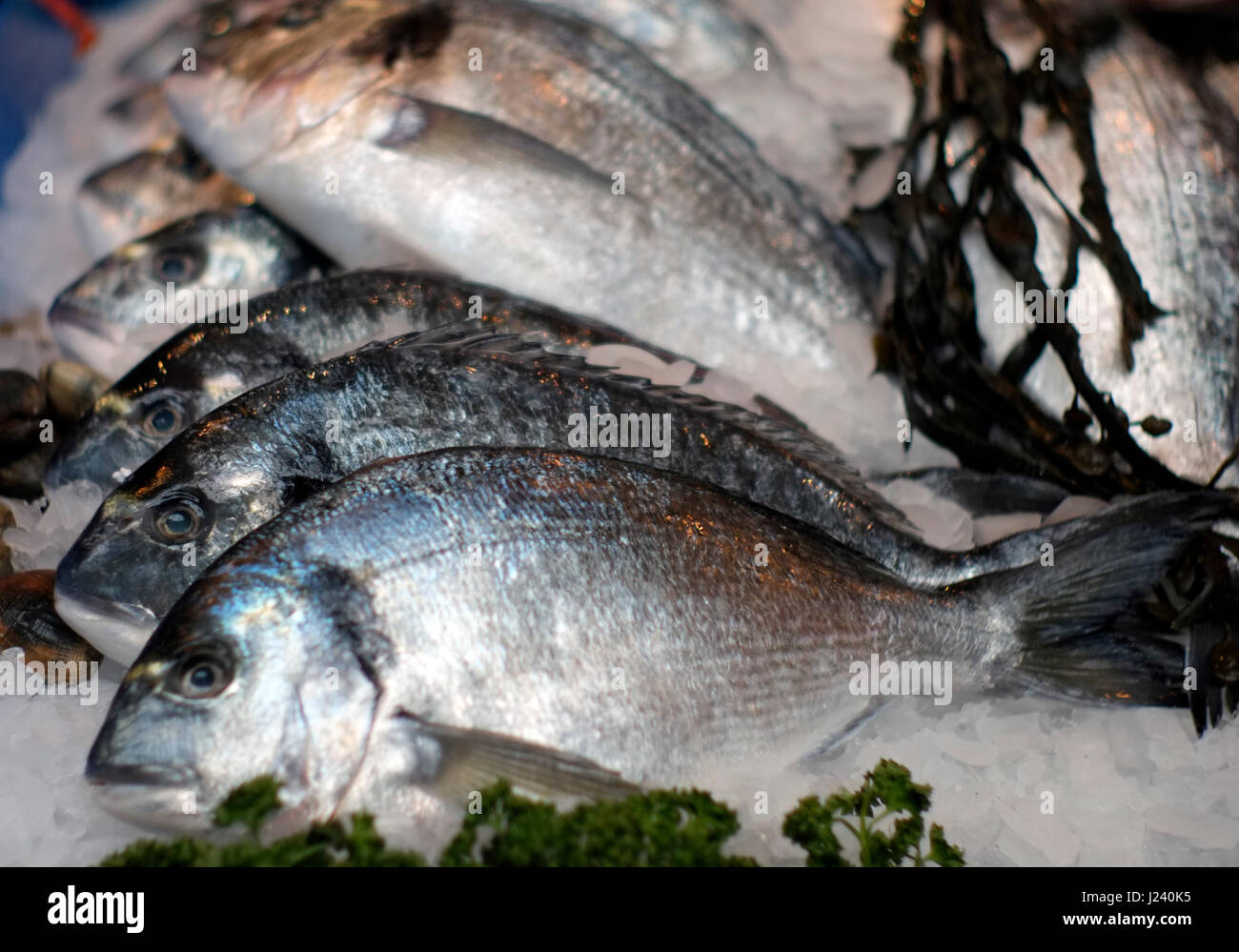 Il pesce fresco viene visualizzato nel mercato di Borough, nel sud di Londra, Gran Bretagna Marzo 22, 2017. © Giovanni Voos Foto Stock
