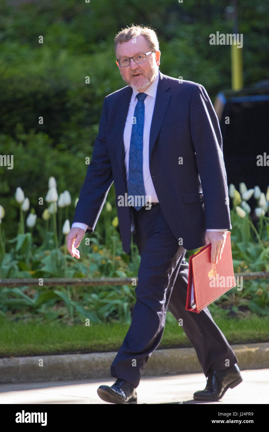 Londra, Regno Unito. Xxv Aprile, 2017. A Downing Street, Londra, 25 aprile 2017. Scozia Segretario David Mundell assiste il settimanale riunione del gabinetto al 10 di Downing Street a Londra. Credito: Credito: Paolo Davey/Alamy Live News Foto Stock
