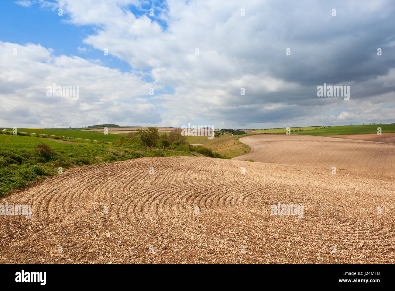 Le linee e i modelli in nuovi terreni coltivati nell'ondulato paesaggio panoramico del yorkshire wolds sotto un azzurro cielo molto nuvoloso in primavera Foto Stock