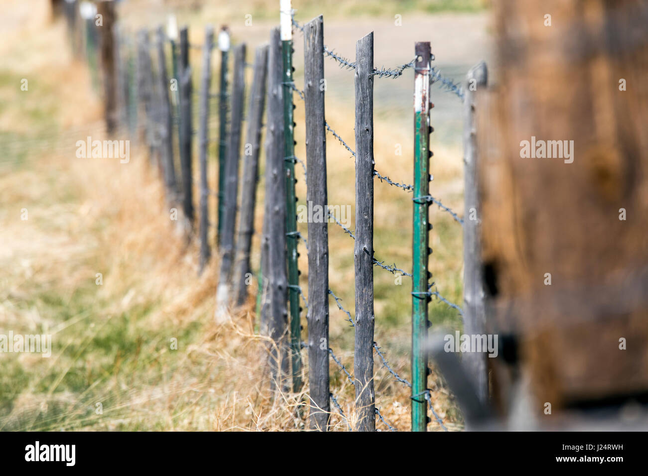 Il filo spinato di recinzione di pascolo; Vandaveer Ranch; Salida; Colorado; USA Foto Stock