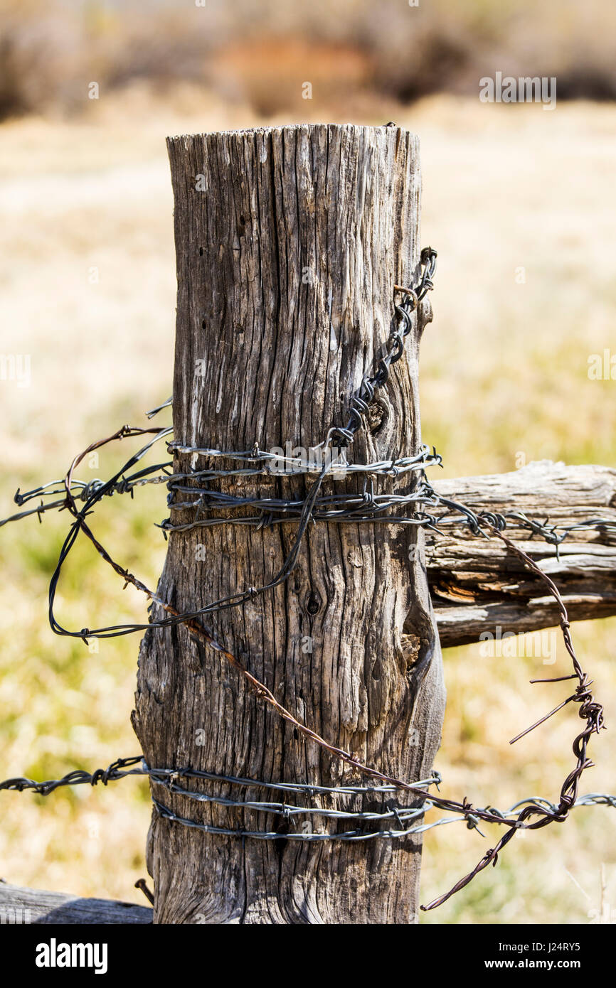 Fencepost in legno e filo spinato; Vandaveer Ranch; Salida; Colorado; USA Foto Stock