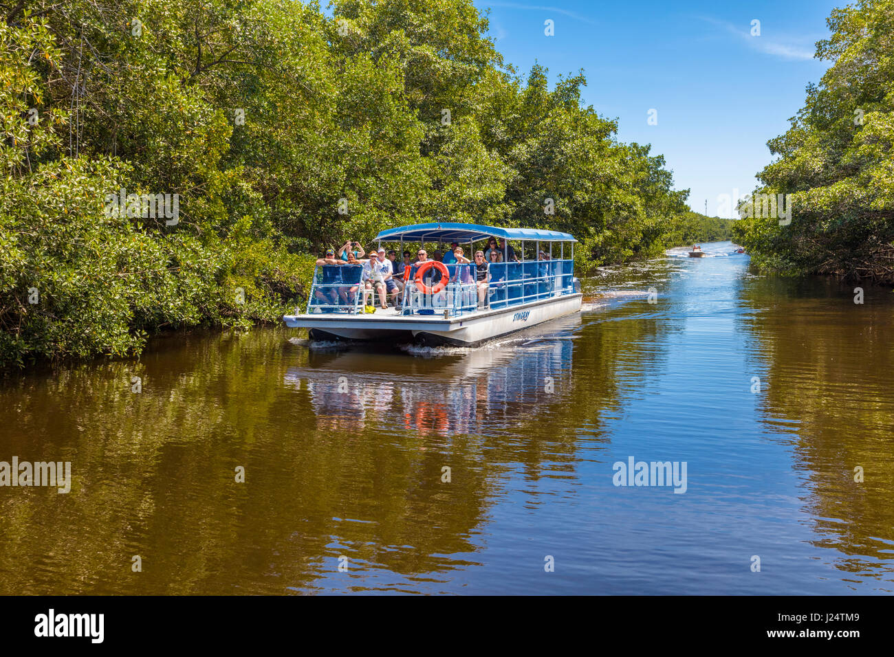 Tour in barca sul Buttonwood Canal nel Flamingo area di Everglades National Park Florida Foto Stock