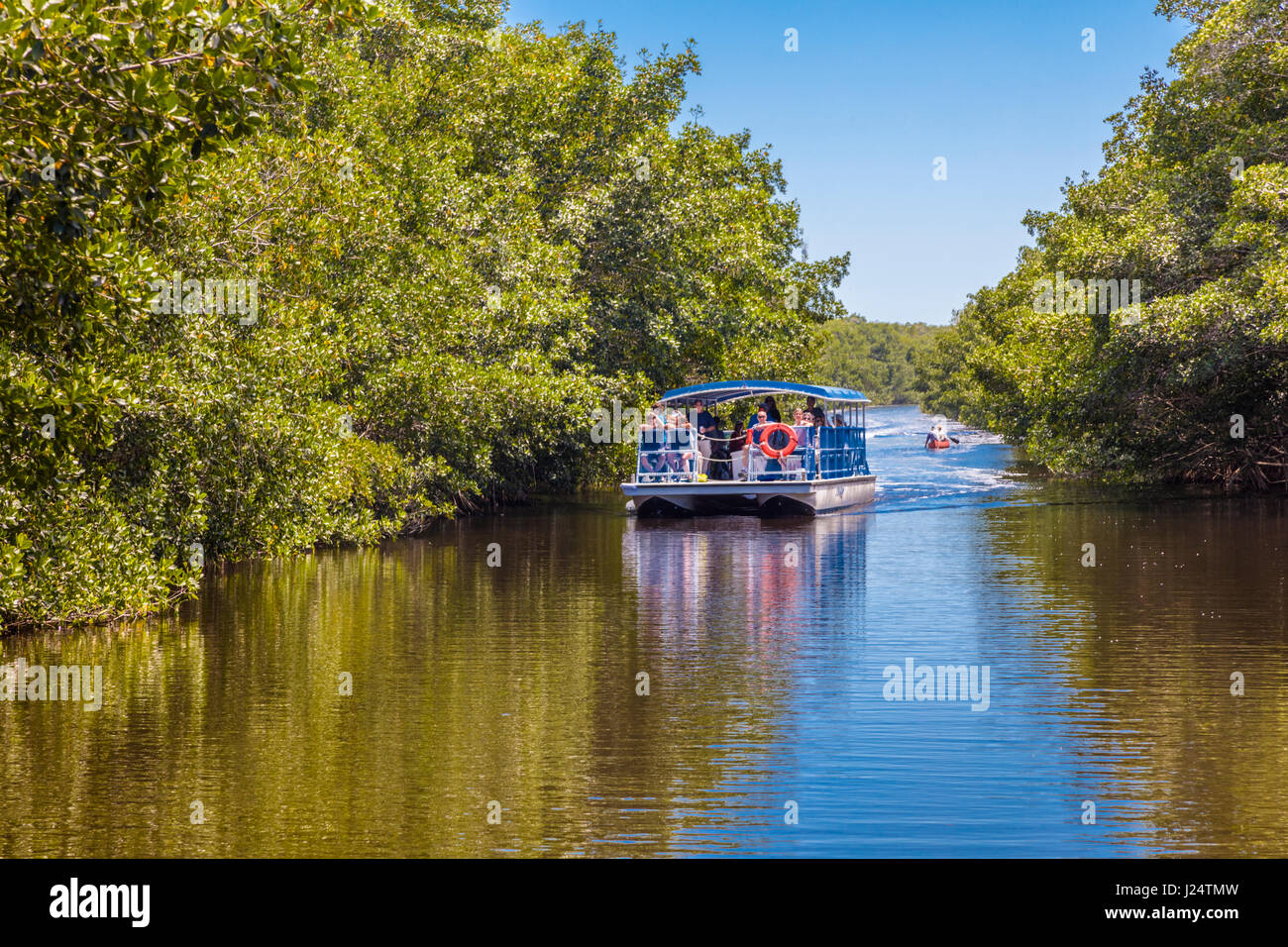 Tour in barca sul Buttonwood Canal nel Flamingo area di Everglades National Park Florida Foto Stock