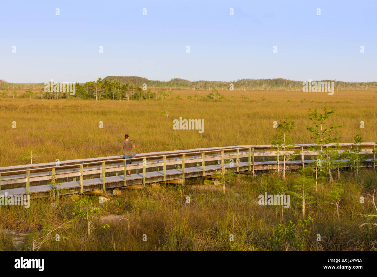 Il Boardwalk sebbene praterie presso il pa-hay-okee si affacciano in Everglades National Park Florida Foto Stock