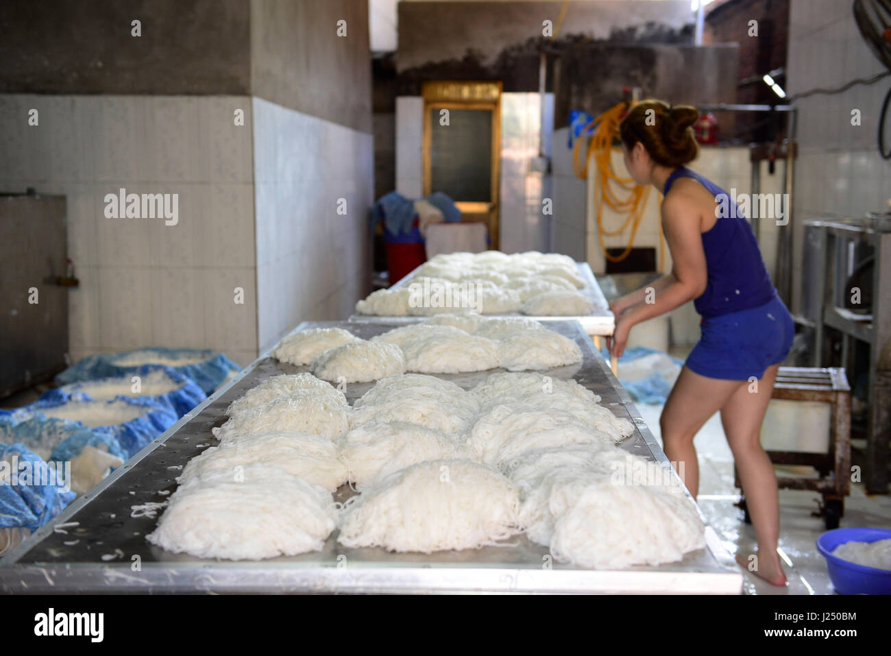Preparazione della tradizionale vietnamita spaghetti di riso ( Bún ) in una piccola famiglia di proprietà di fabbrica in un piccolo villaggio nei pressi di Hanoi. Foto Stock