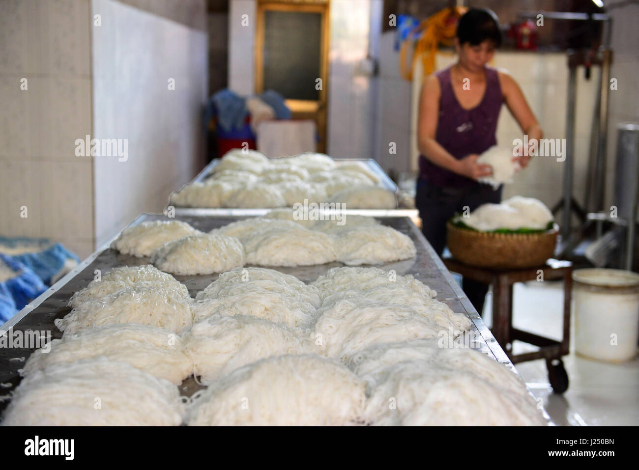 Preparazione della tradizionale vietnamita spaghetti di riso ( Bún ) in una piccola famiglia di proprietà di fabbrica in un piccolo villaggio nei pressi di Hanoi. Foto Stock