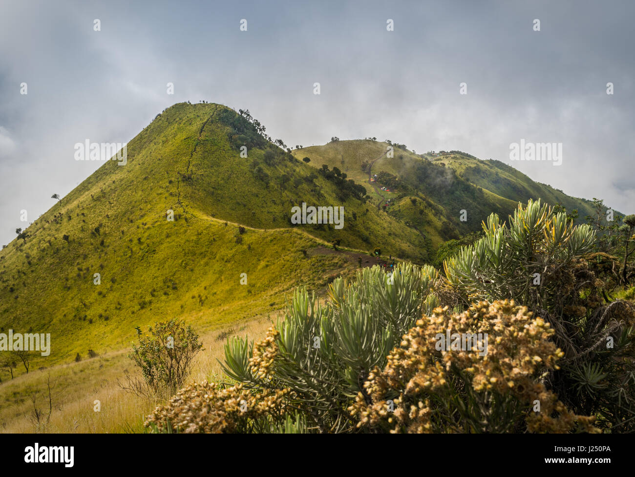 Monte Merbabu Foto Stock